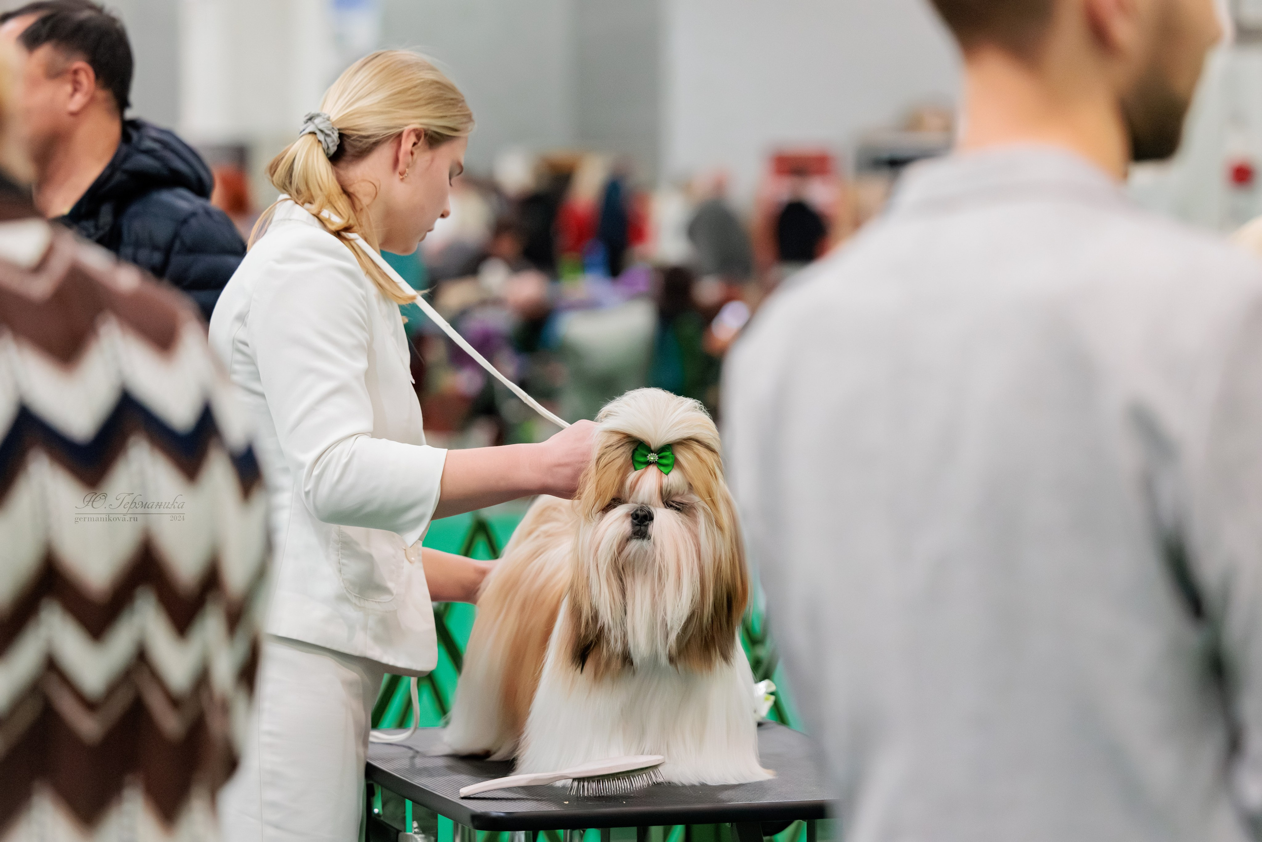 Крокус 21.12.2024,Сфера 29.12.2024. Фотограф-анималист Юлия Германика