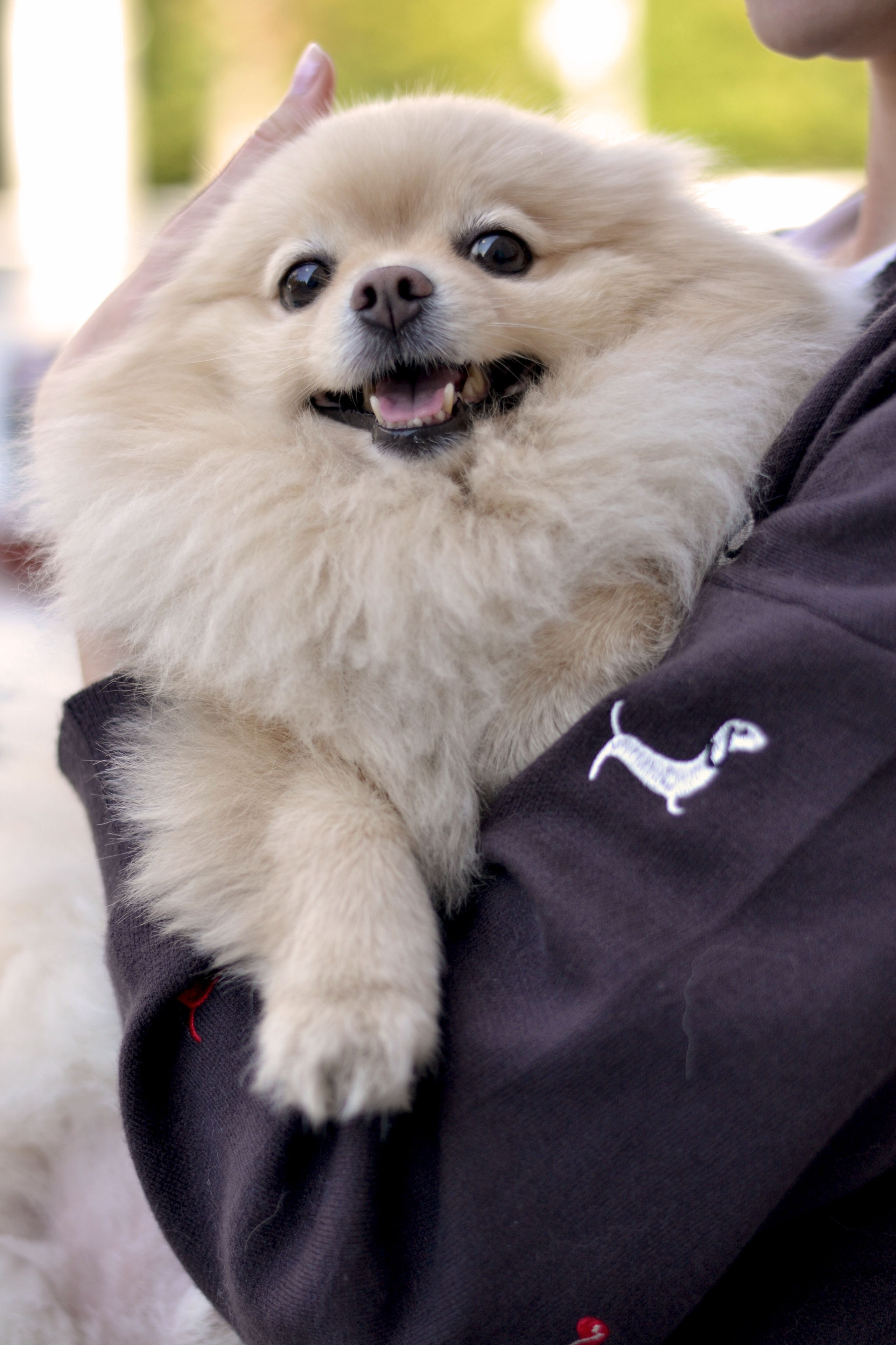 Полина. Фотограф Ольга Дмитриева. Новосибирск