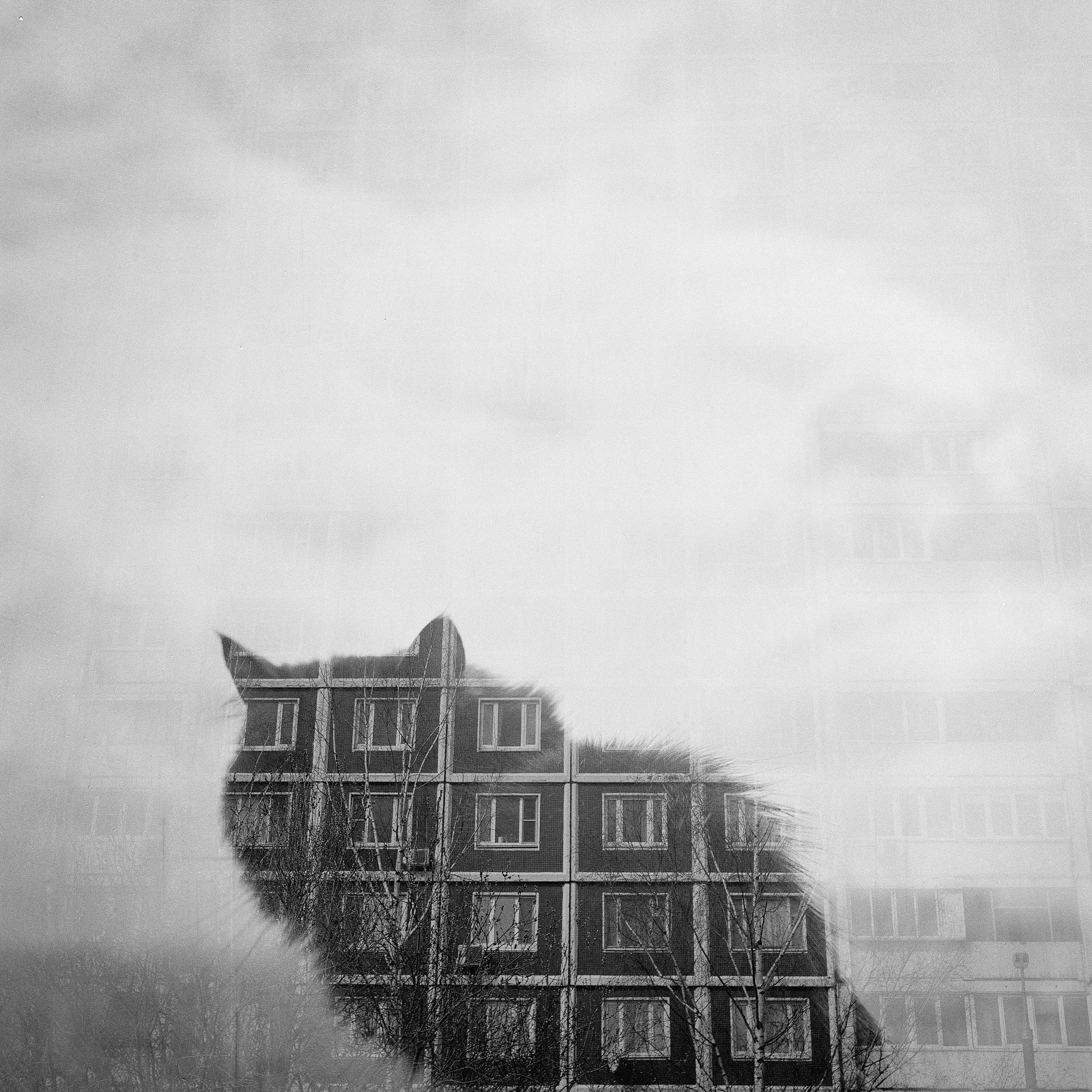 Автор: Олег Волков