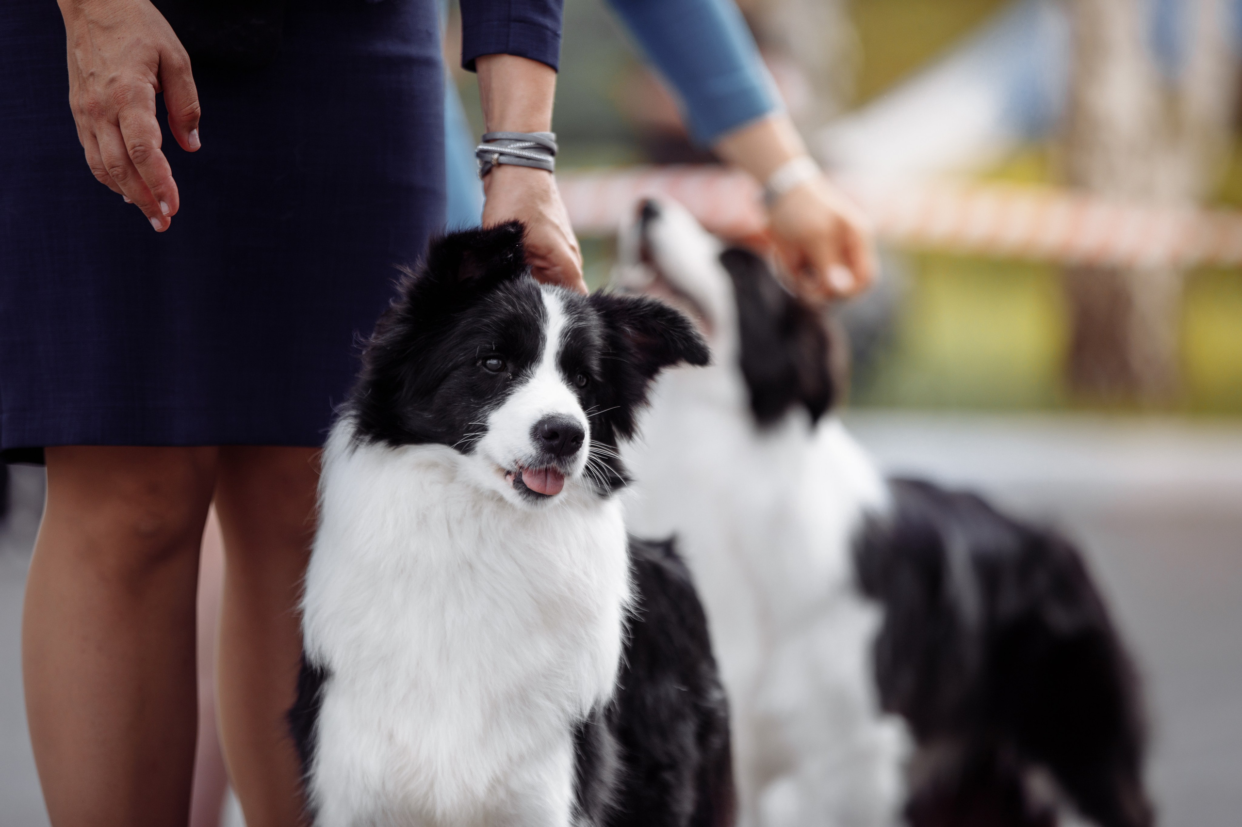 Оренбург с моно 22. О нас