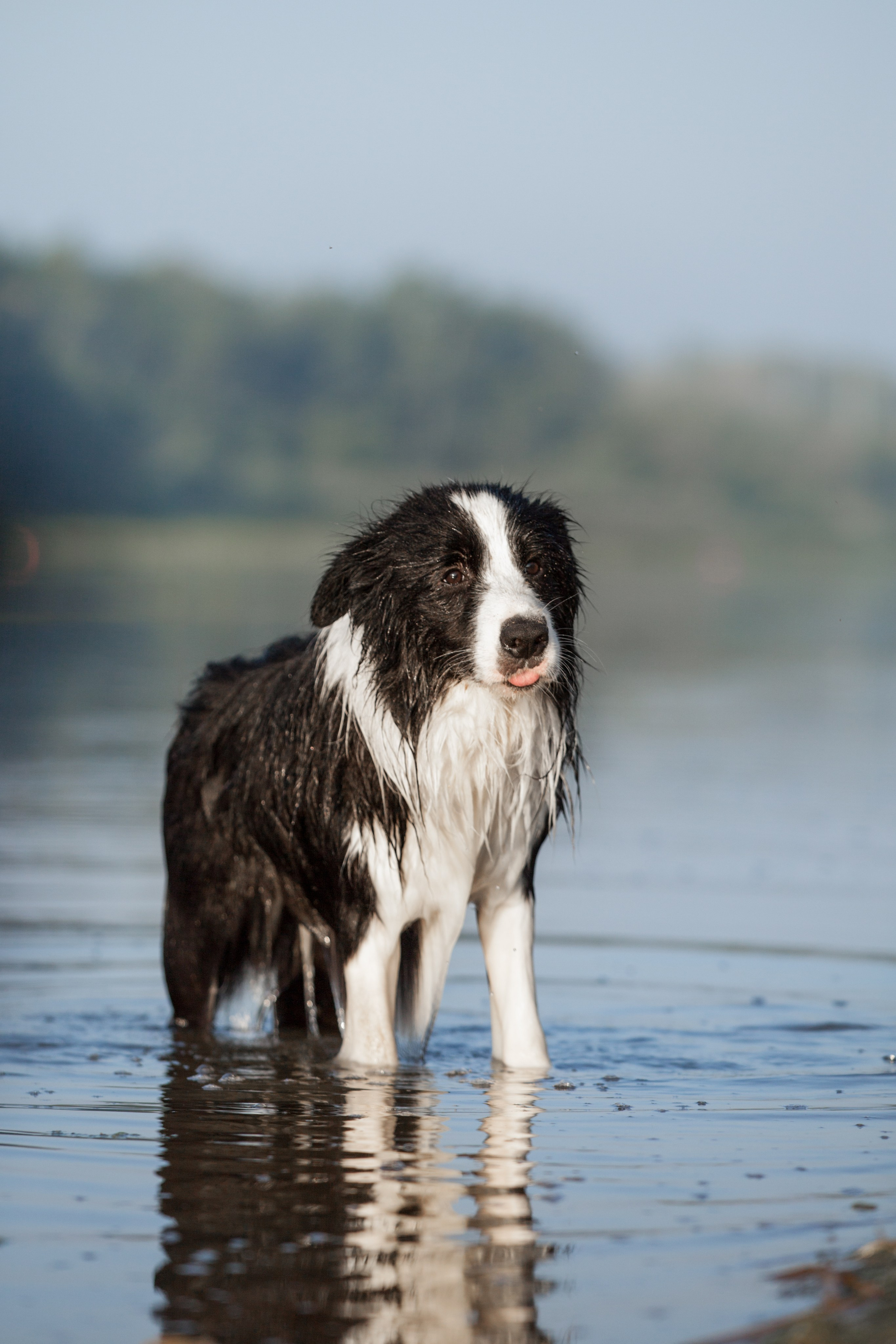 Сочный рассвет, на который решились. О нас