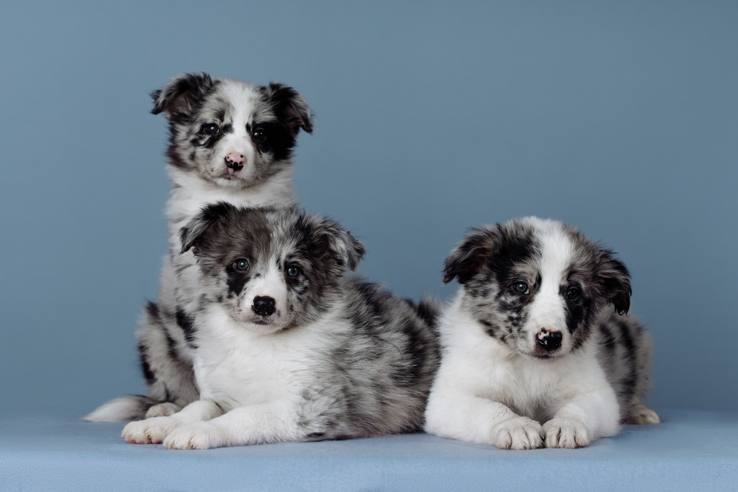 Март. Весна. 22. О нас