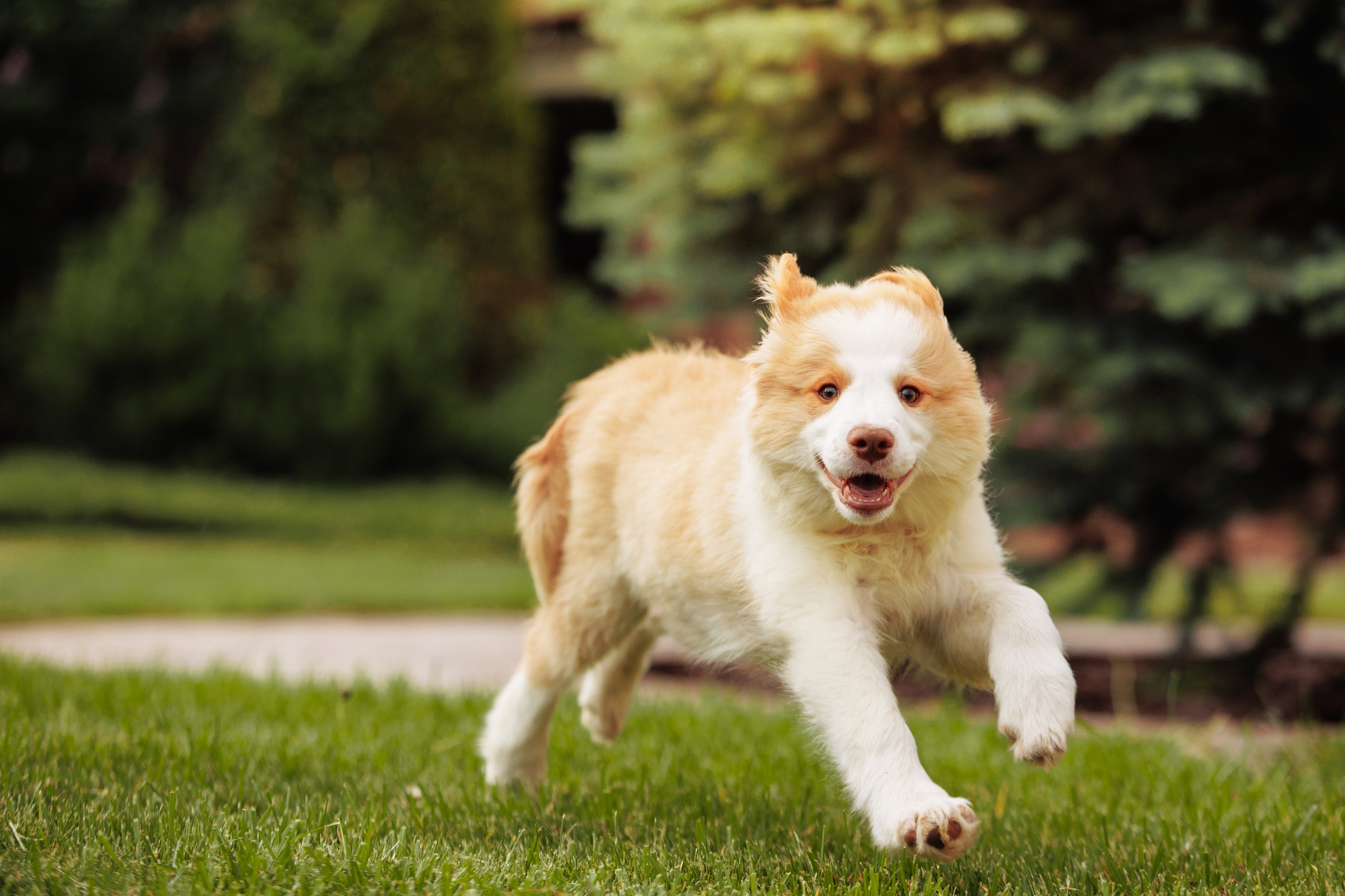 СОлнечные. О нас