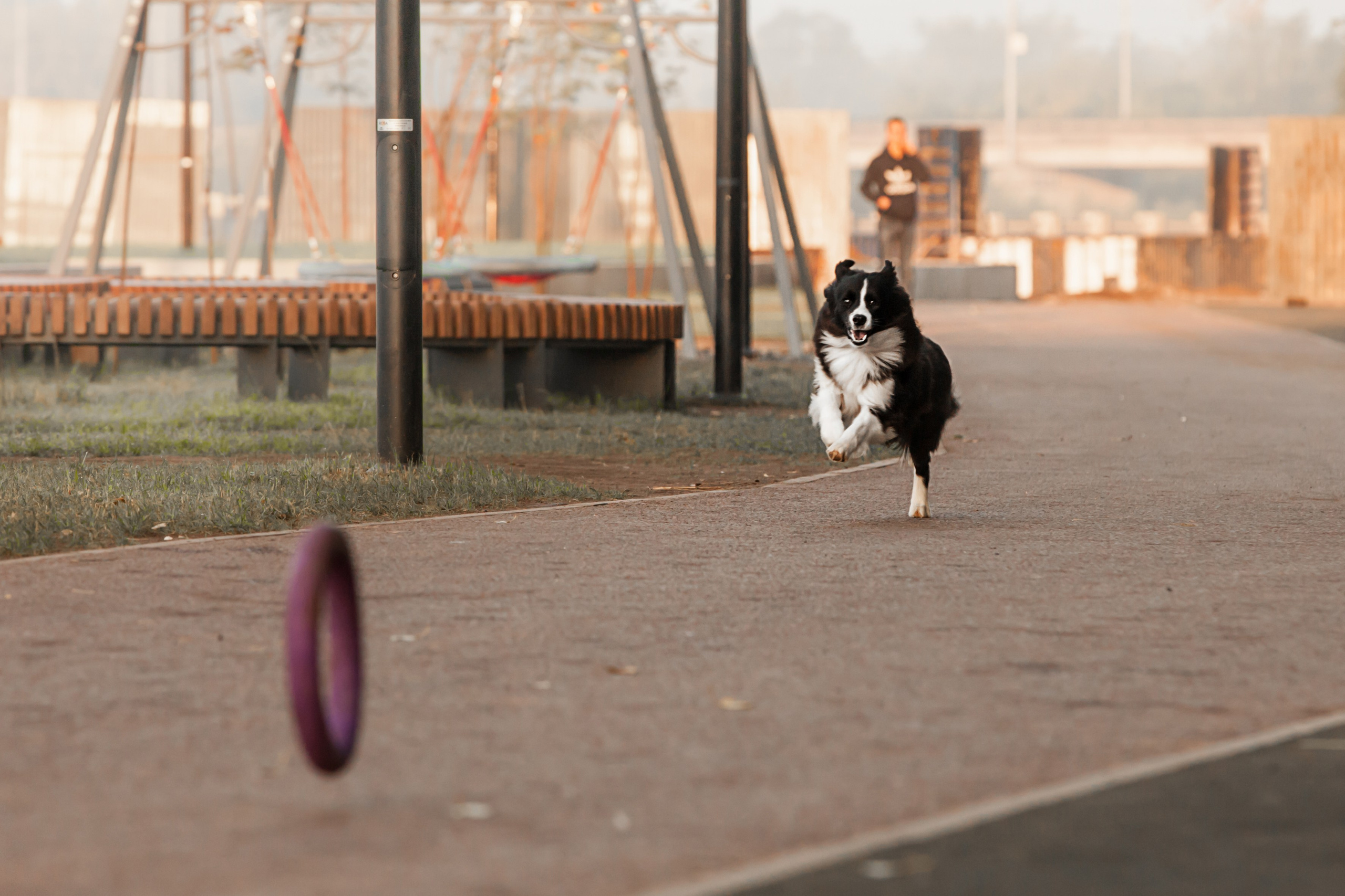 Сочный рассвет, на который решились. О нас
