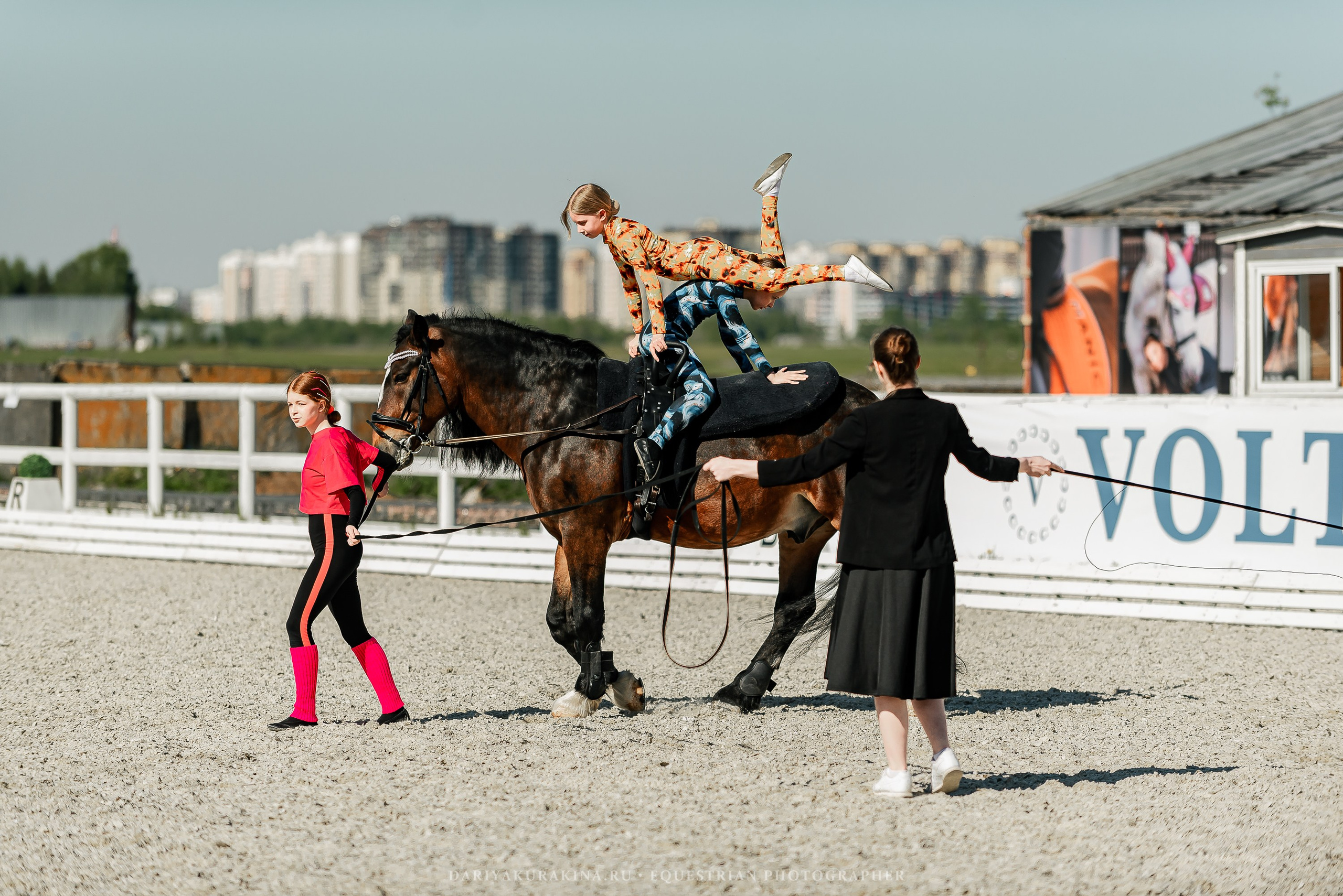 РЕПОРТАЖ МКК ВОЛЬТ «LA TULIPS». Конный фотограф Куракина Дарья • Фотосессии с лошадьми