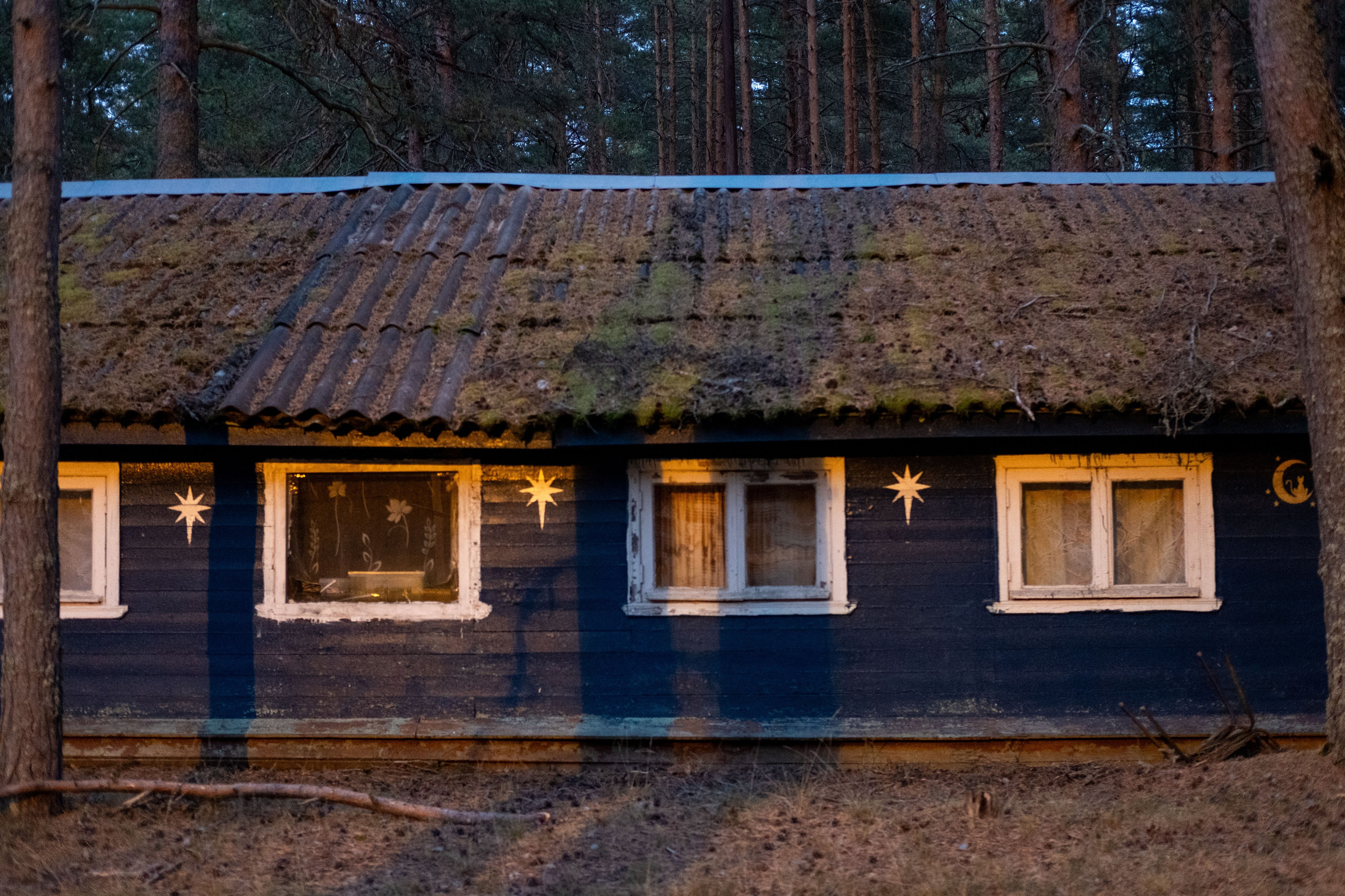 Пионерлагеря. Курочкина Софья