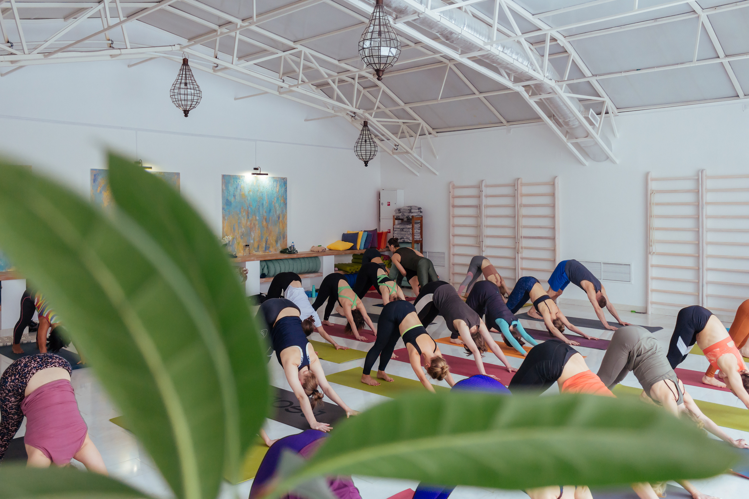 Йога практика с Алёной Тихоновой. 08 февраля 2020. Санкт-Петербург. Ваш персональный фотограф в Волжском Мария Морозова