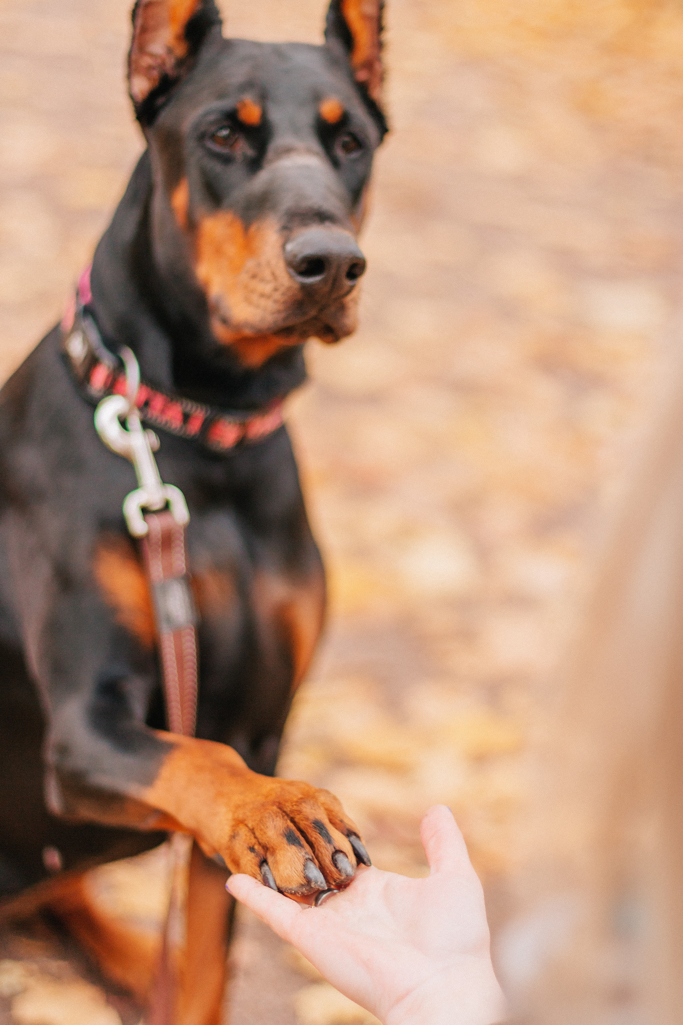Валентина. Октябрь 2019. Санкт-Петербург. Ваш персональный фотограф в Волжском Мария Морозова