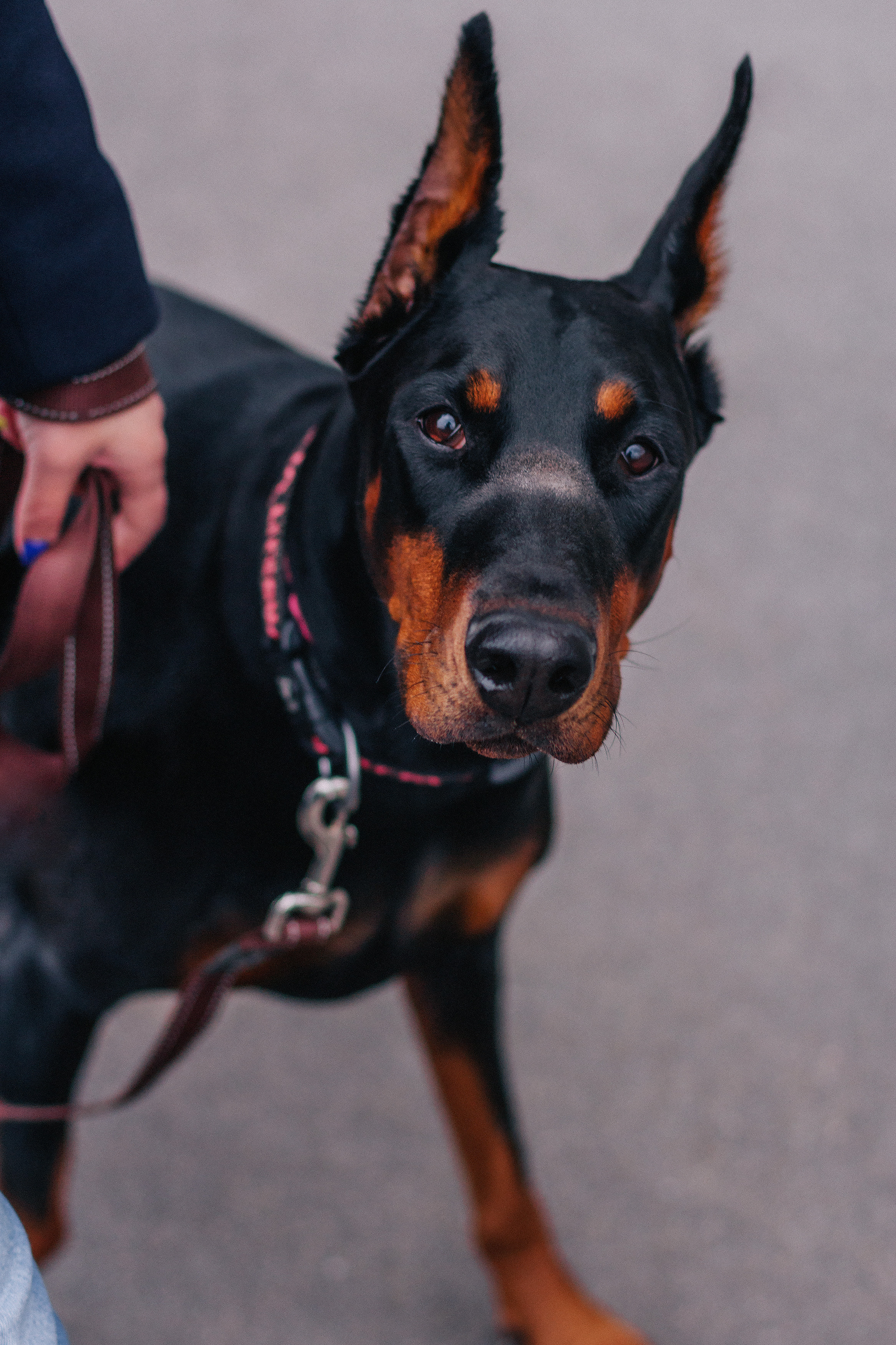 Валентина. Октябрь 2019. Санкт-Петербург. Ваш персональный фотограф в Волжском Мария Морозова