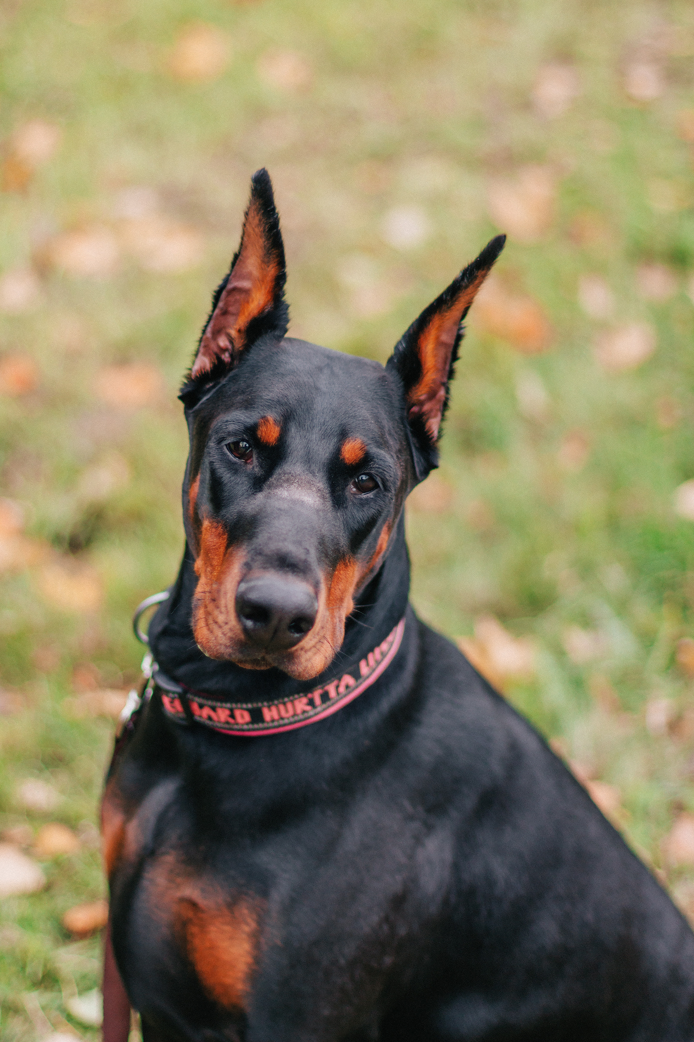 Валентина. Октябрь 2019. Санкт-Петербург. Ваш персональный фотограф в Волжском Мария Морозова