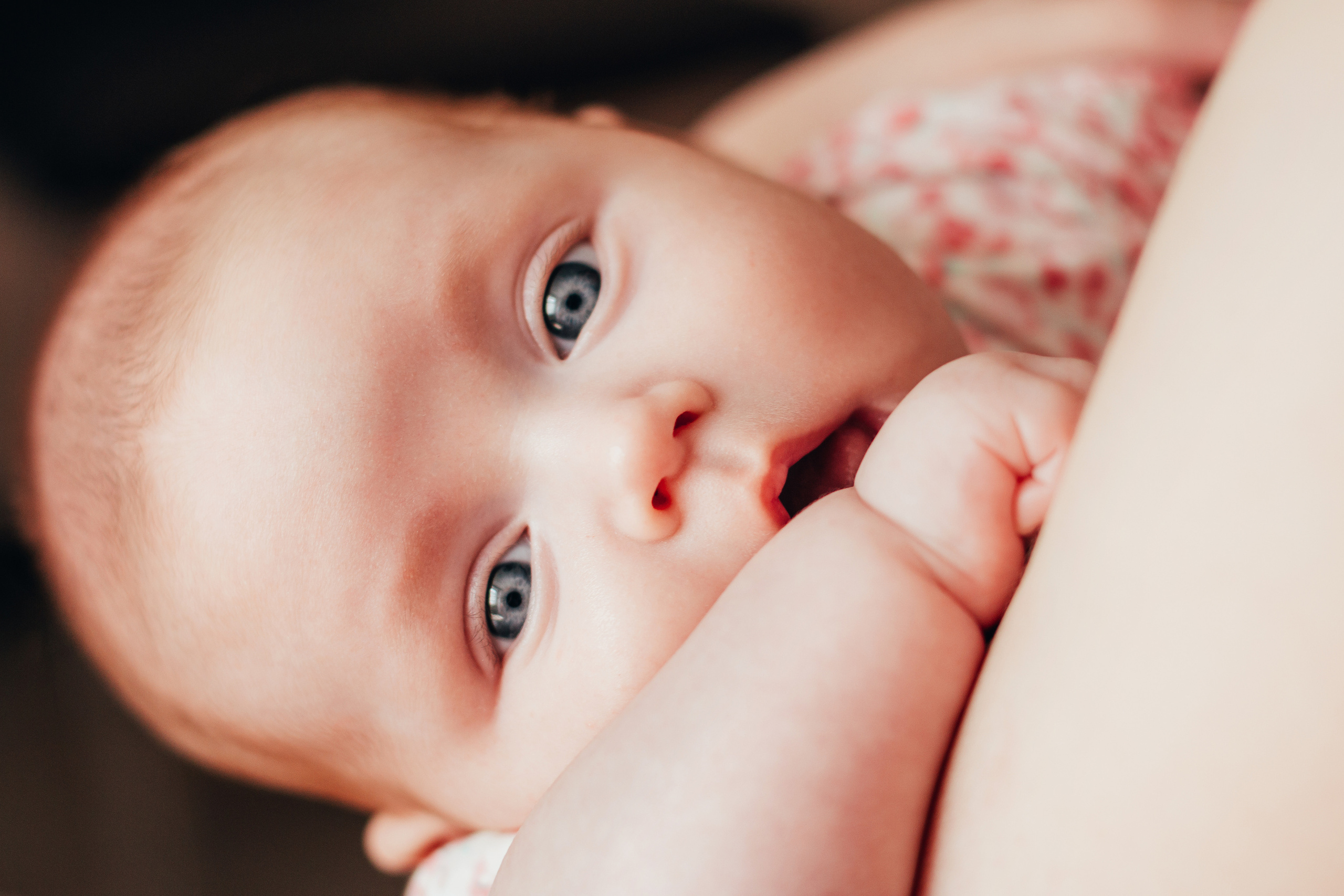 Виктория. 3 месяца. Домашняя съёмка. Июнь 2019. Тюмень. Ваш персональный фотограф в Волжском Мария Морозова