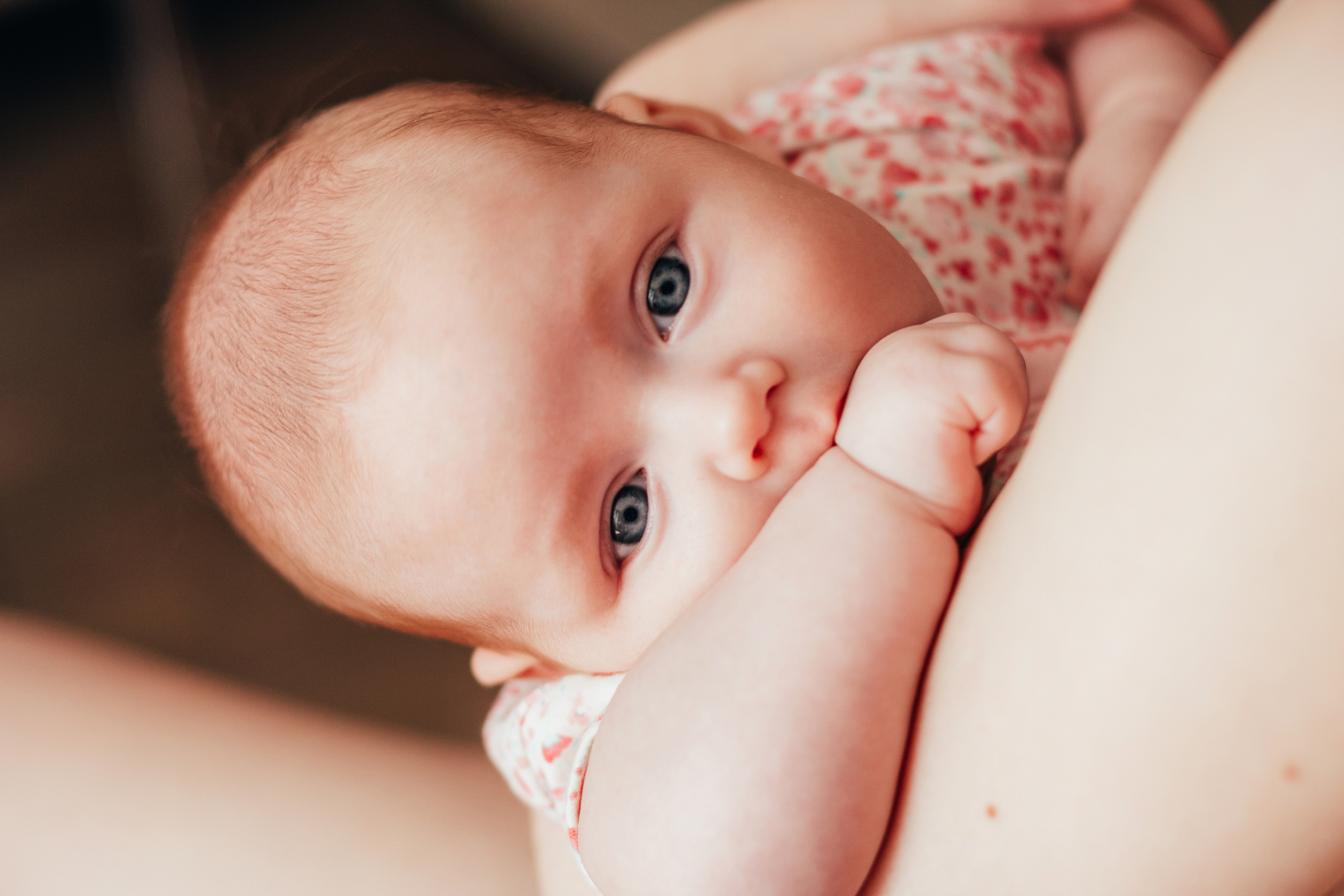 Виктория. 3 месяца. Домашняя съёмка. Июнь 2019. Тюмень. Ваш персональный фотограф в Волжском Мария Морозова