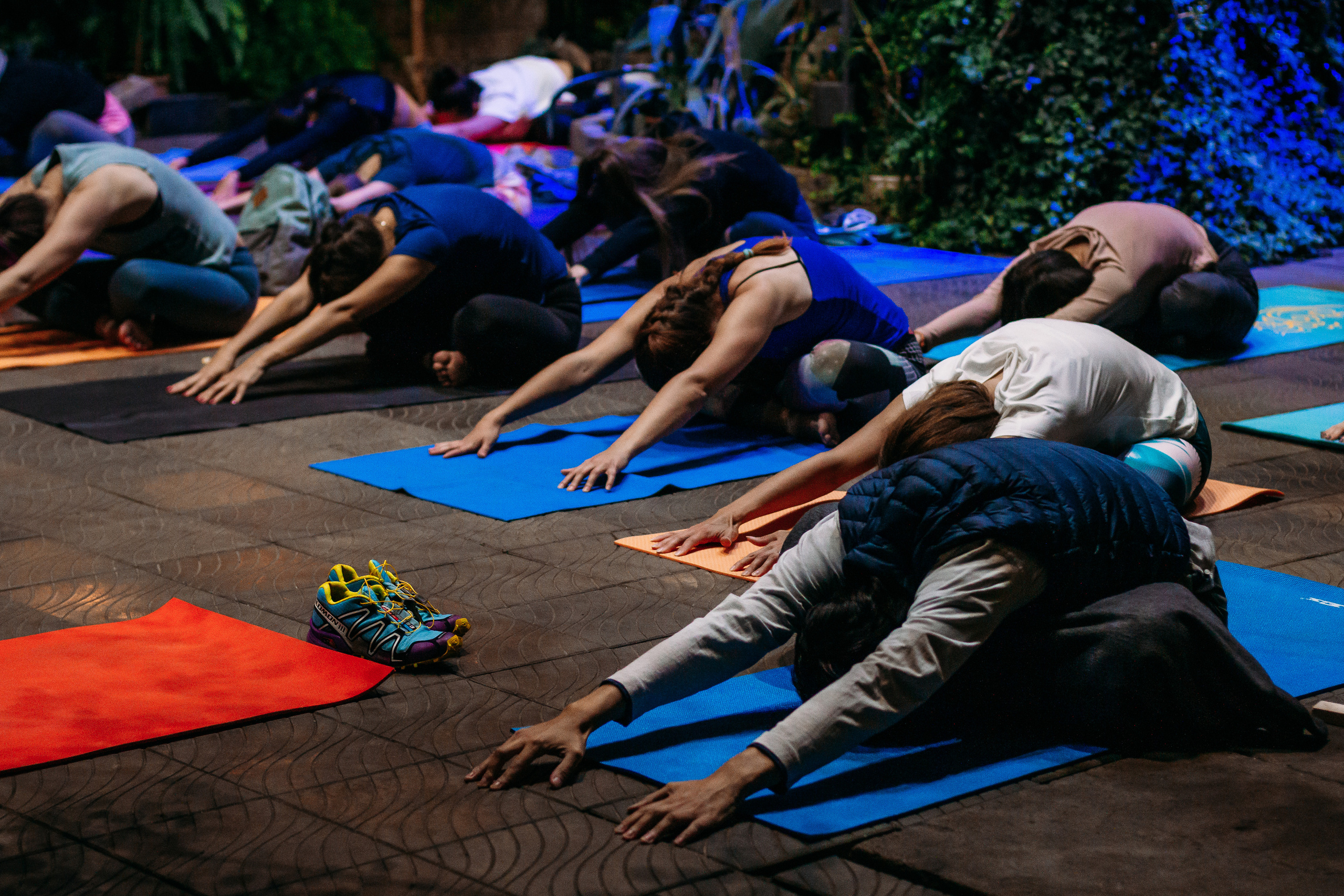 Йога с Анастасией Райденковой в Оранжерее. 16 сентября 2020. Санкт-Петербург. Ваш персональный фотограф в Волжском Мария Морозова