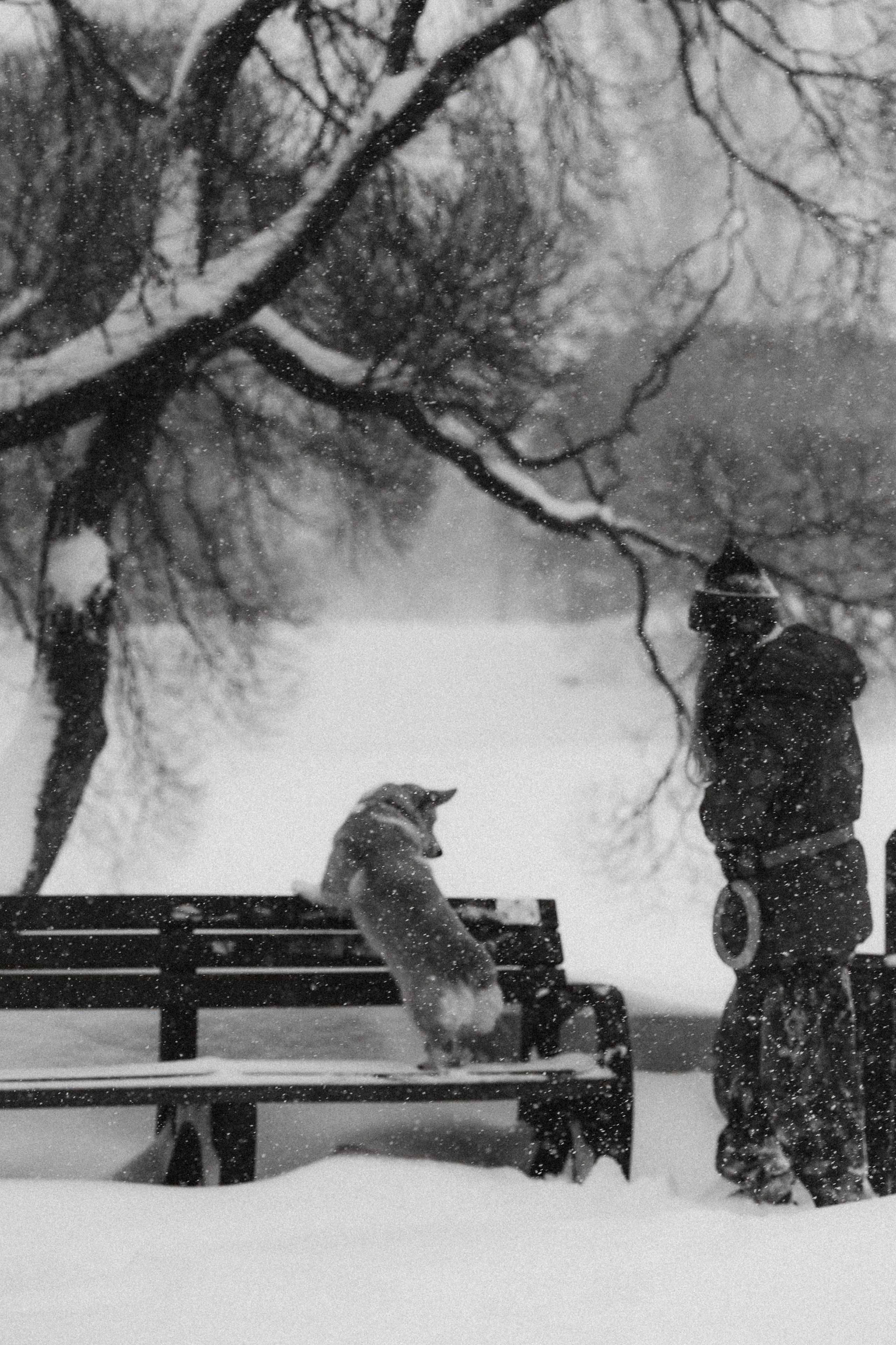 Юля и Юпитер