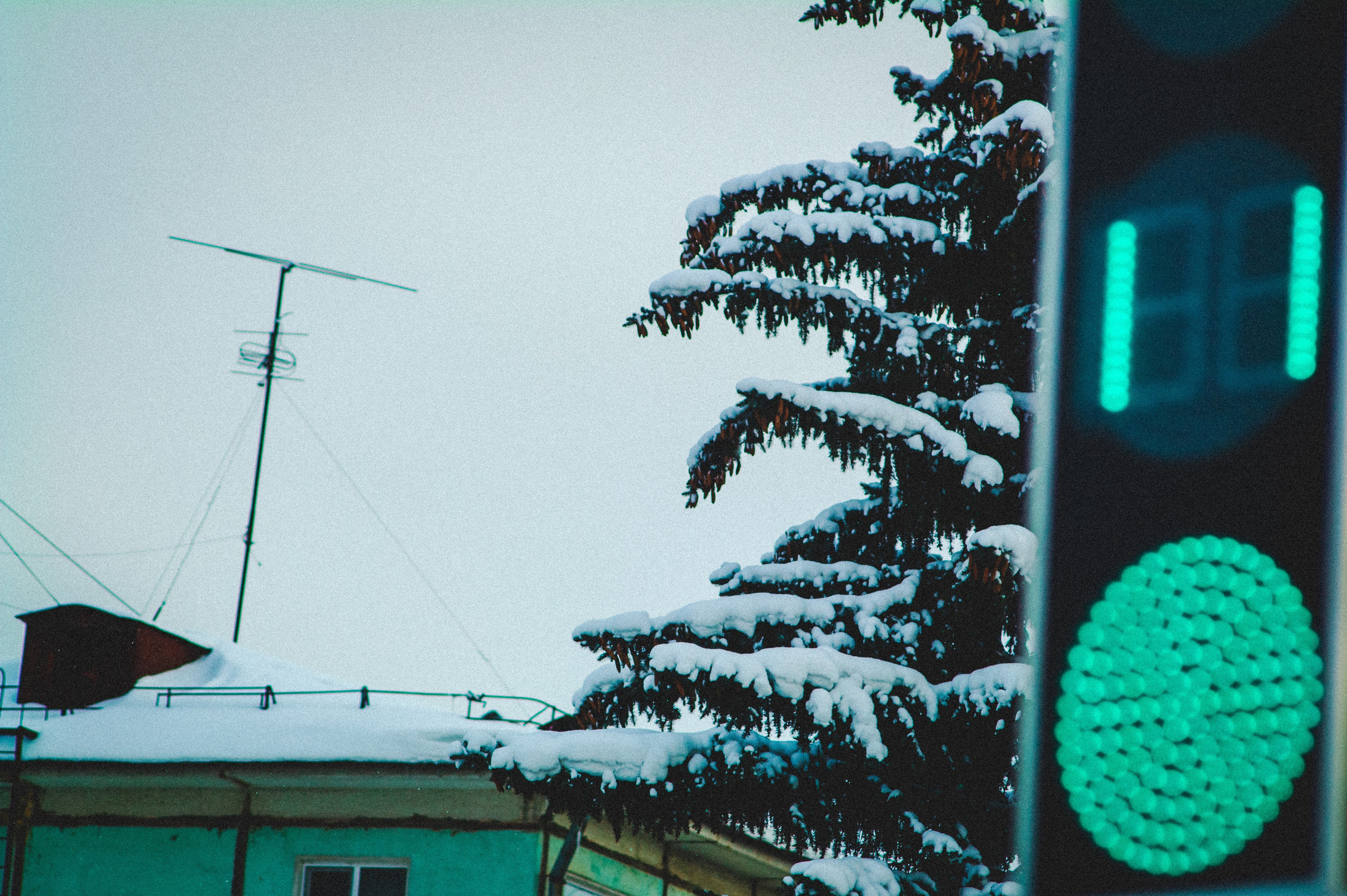 Обед. Den Mirov — Фотограф, Музыкант