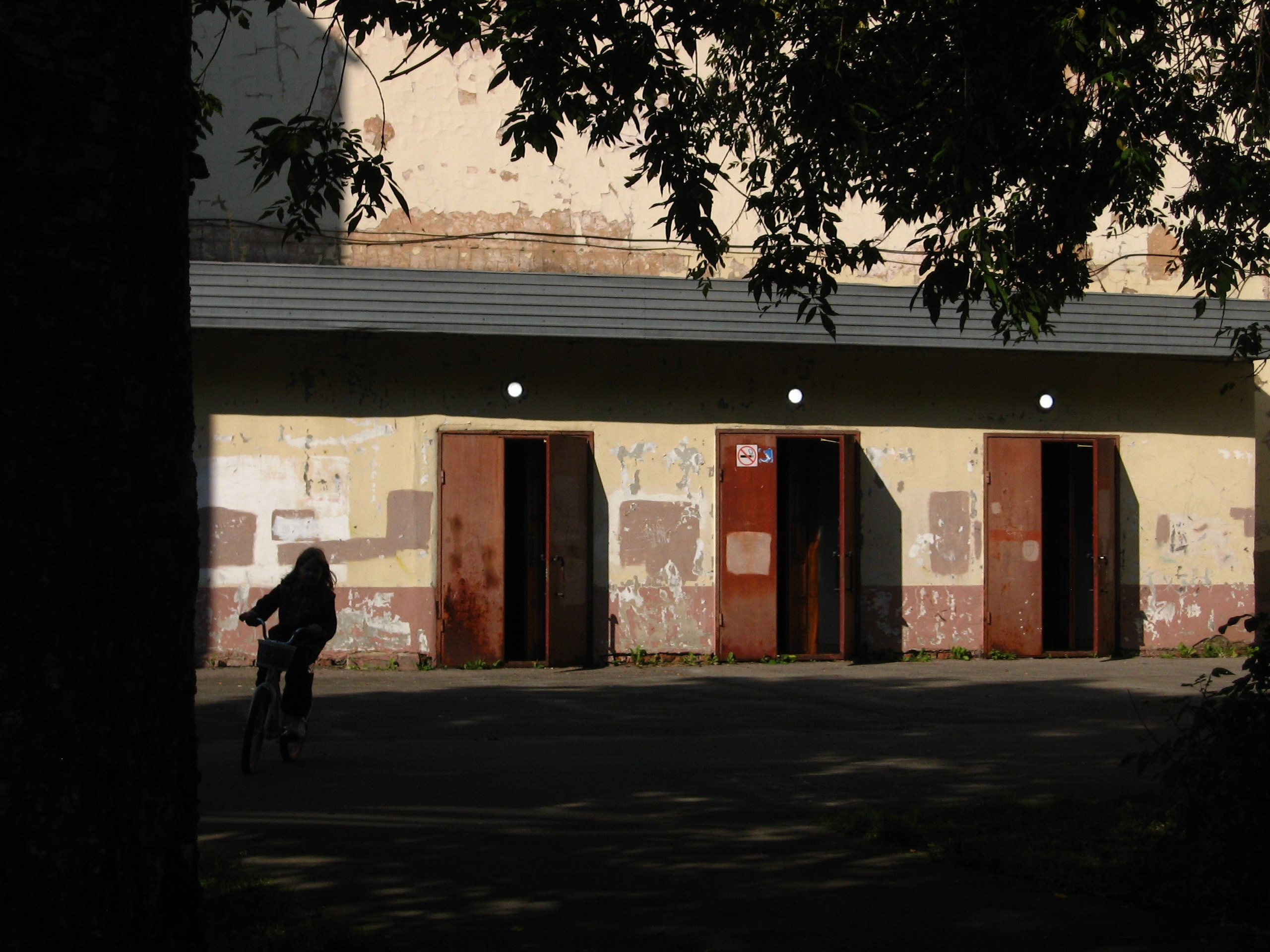 Сентябрь 2025. Den Mirov — Фотограф, Музыкант