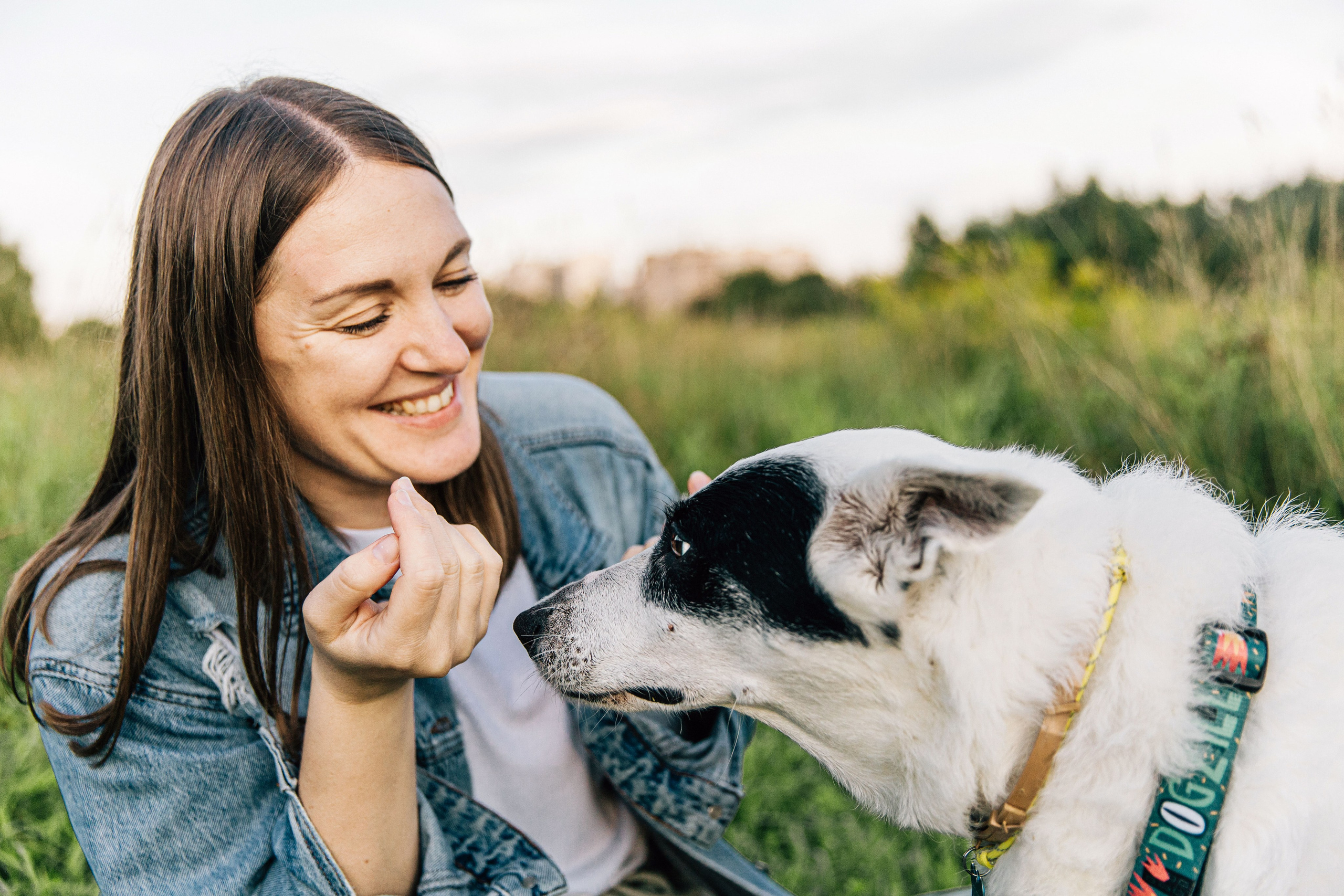 Саша и Белла. Фотограф-анималист в Москве Соломонова Варвара