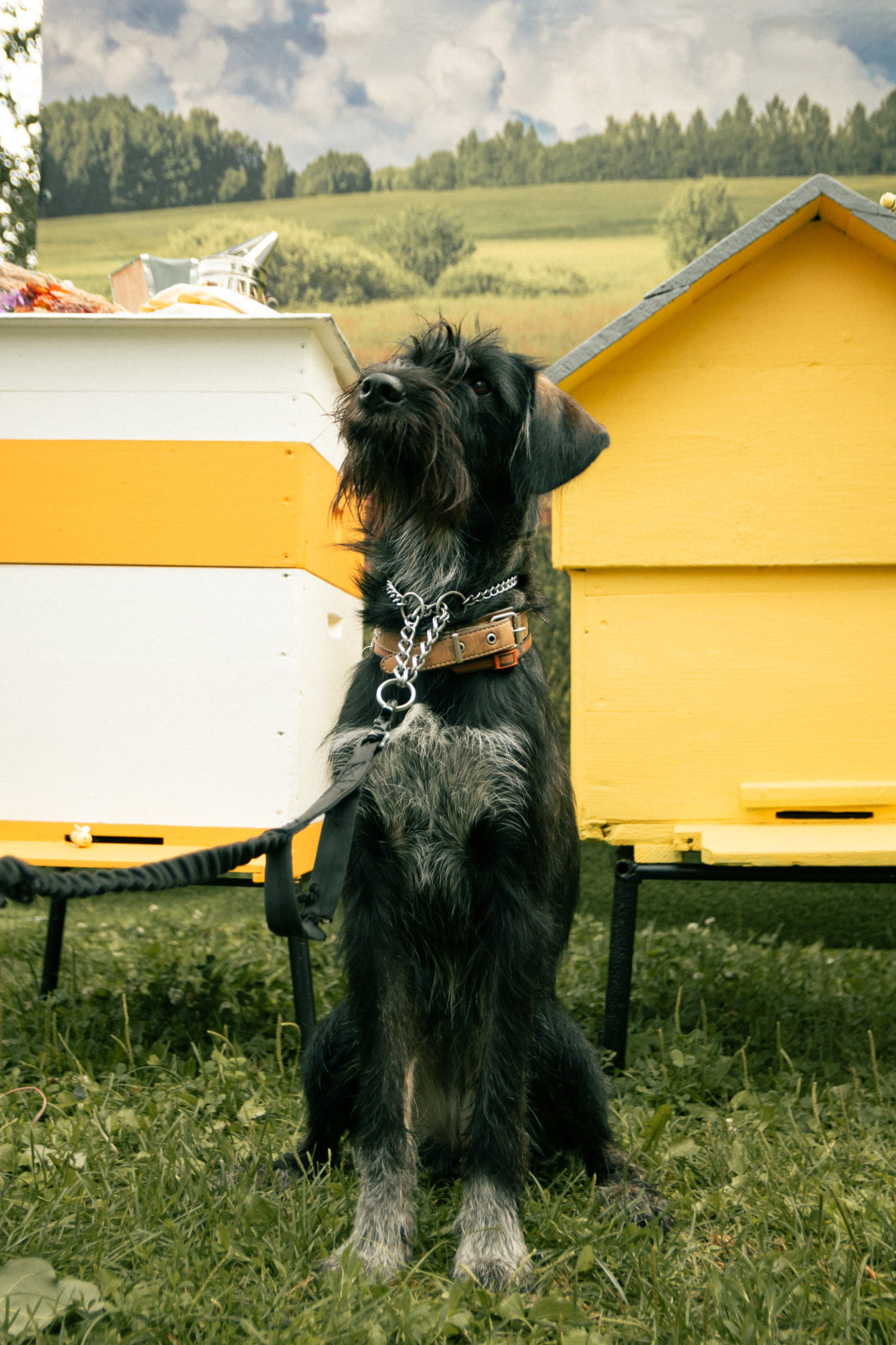 ЭкоФест 2024. Фотограф в Ярославле Никита Зайцев