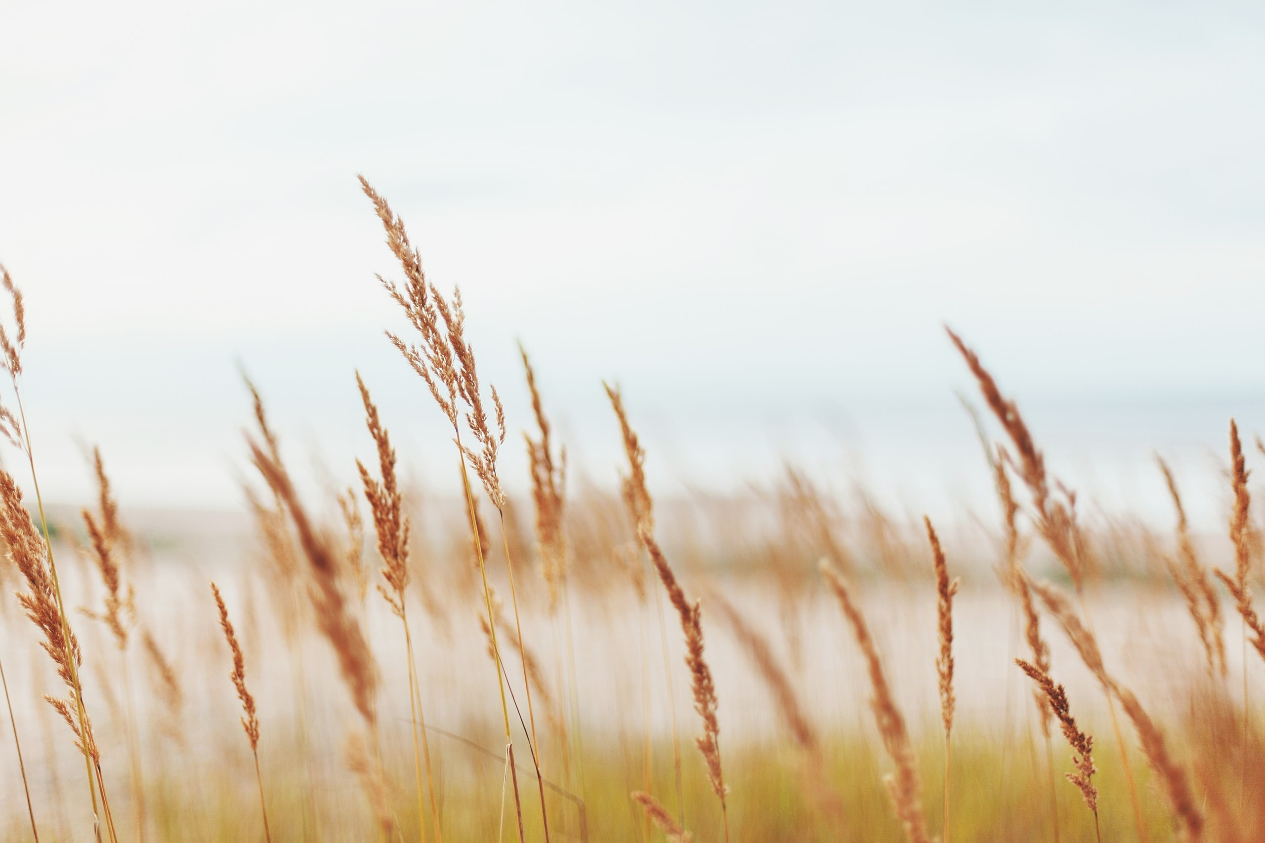 Латвия. Аня Степанова