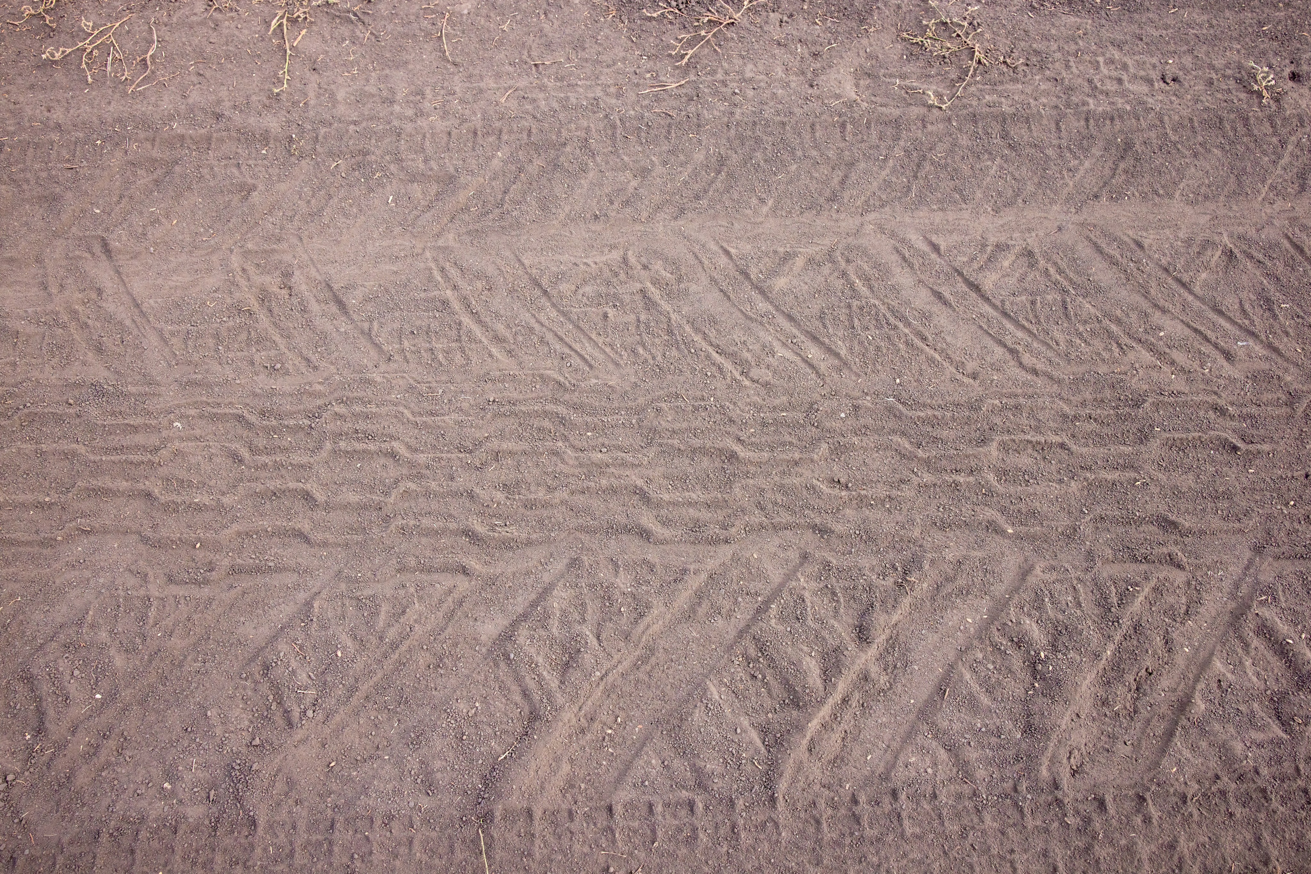 Поездка на поле Кулеково. Фотограф в Туле Крупский АнДРей. Фотостудия «КАДР71» в Туле