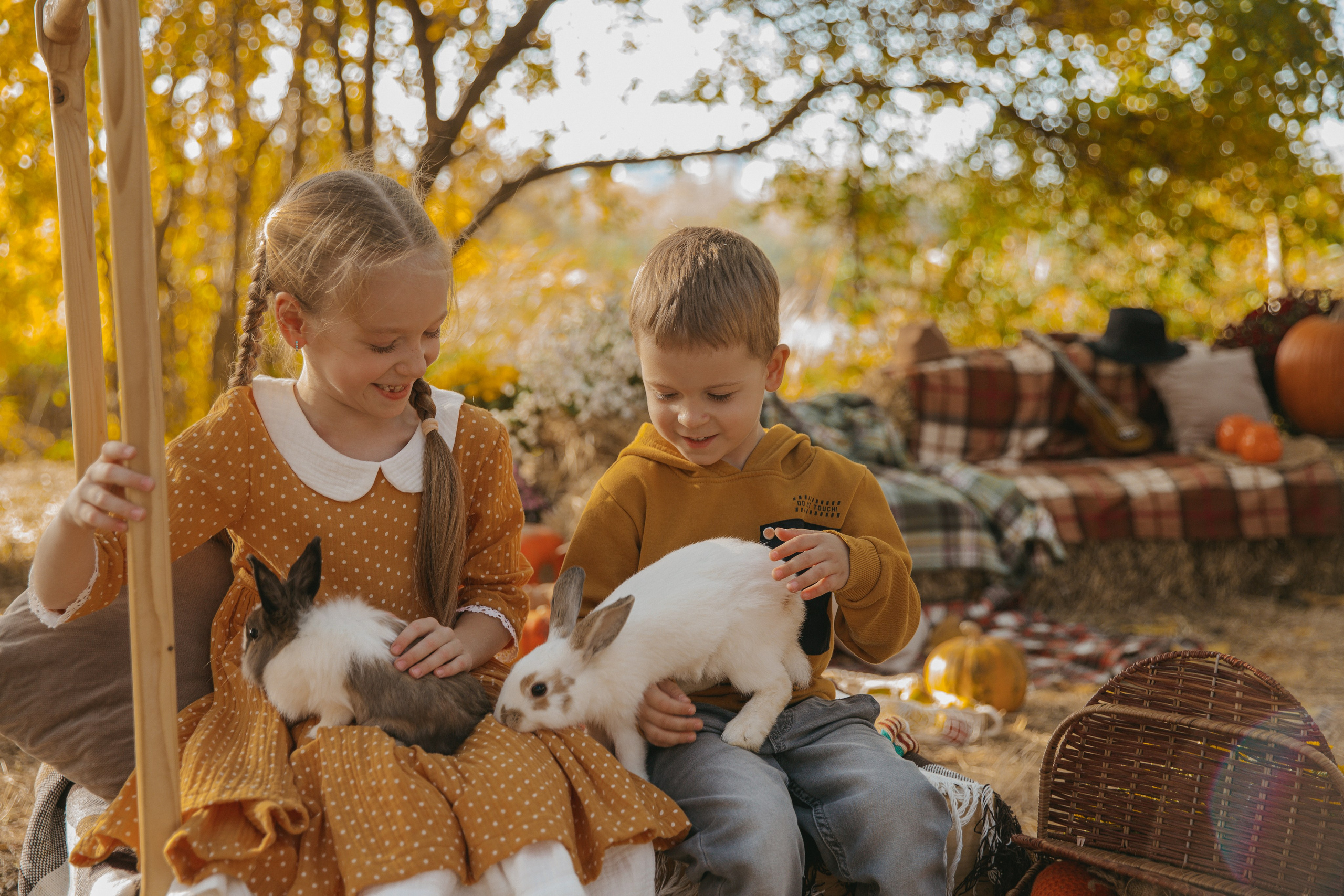 Фотопроект с кроликами