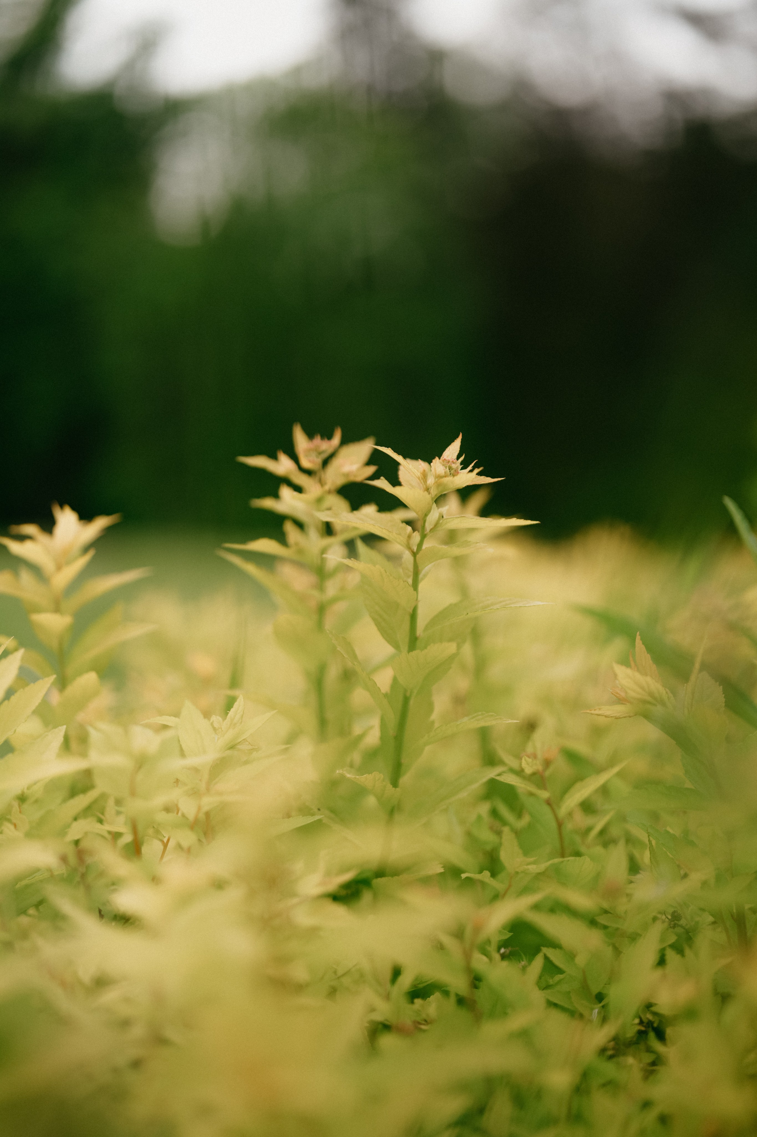 Onpoint. Фотограф в Москве Дмитрий Рогов