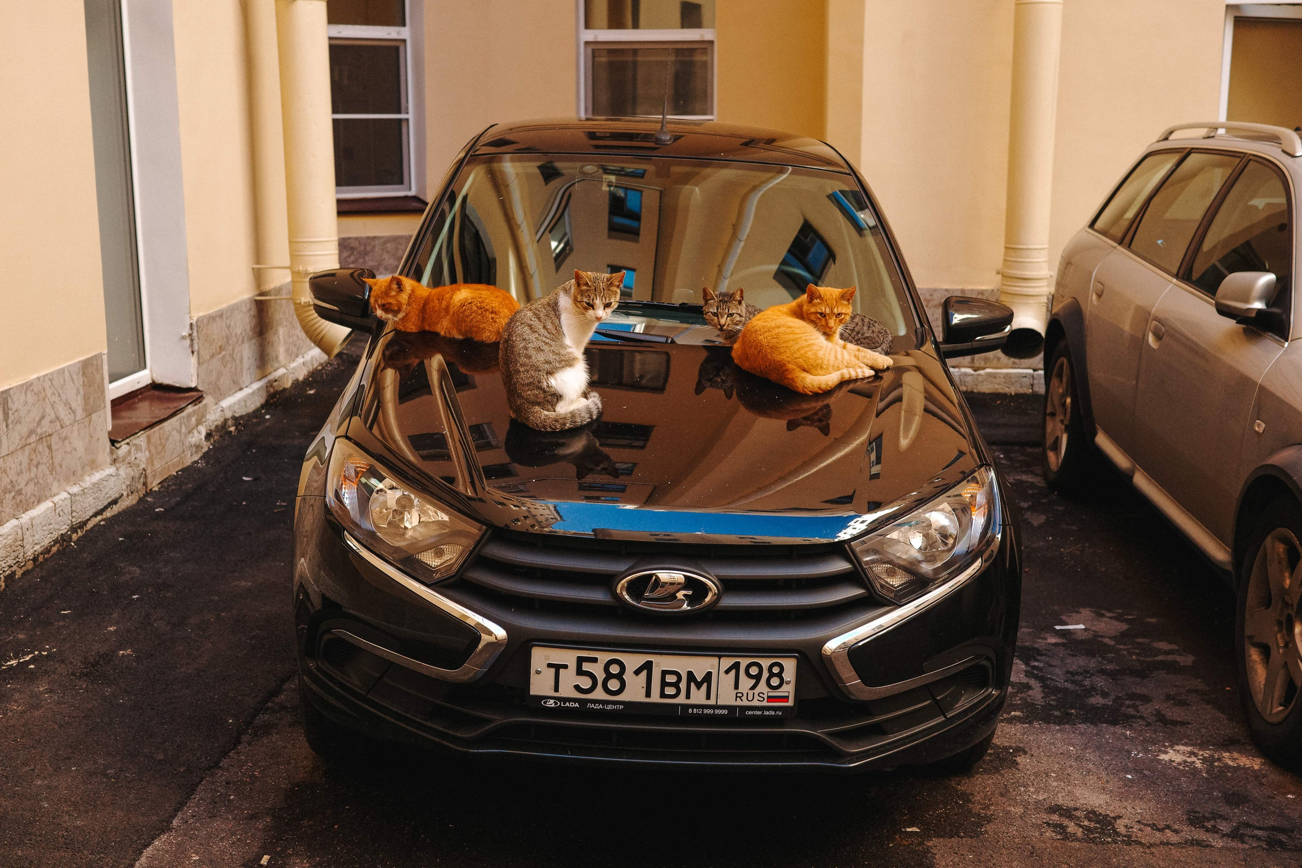 2024.08. Фотограф Алексей Алексеев