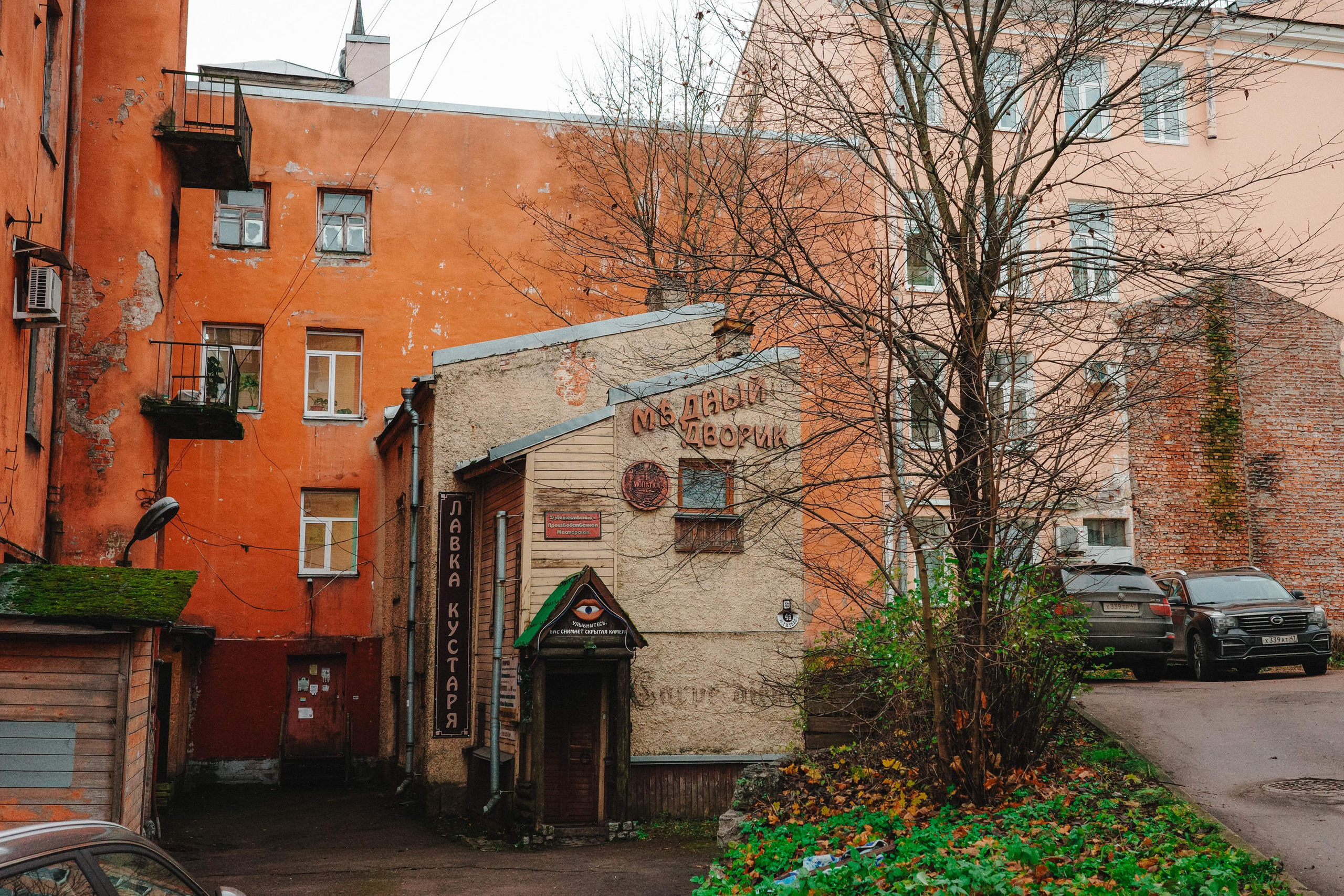 2024.11. Фотограф Алексей Алексеев