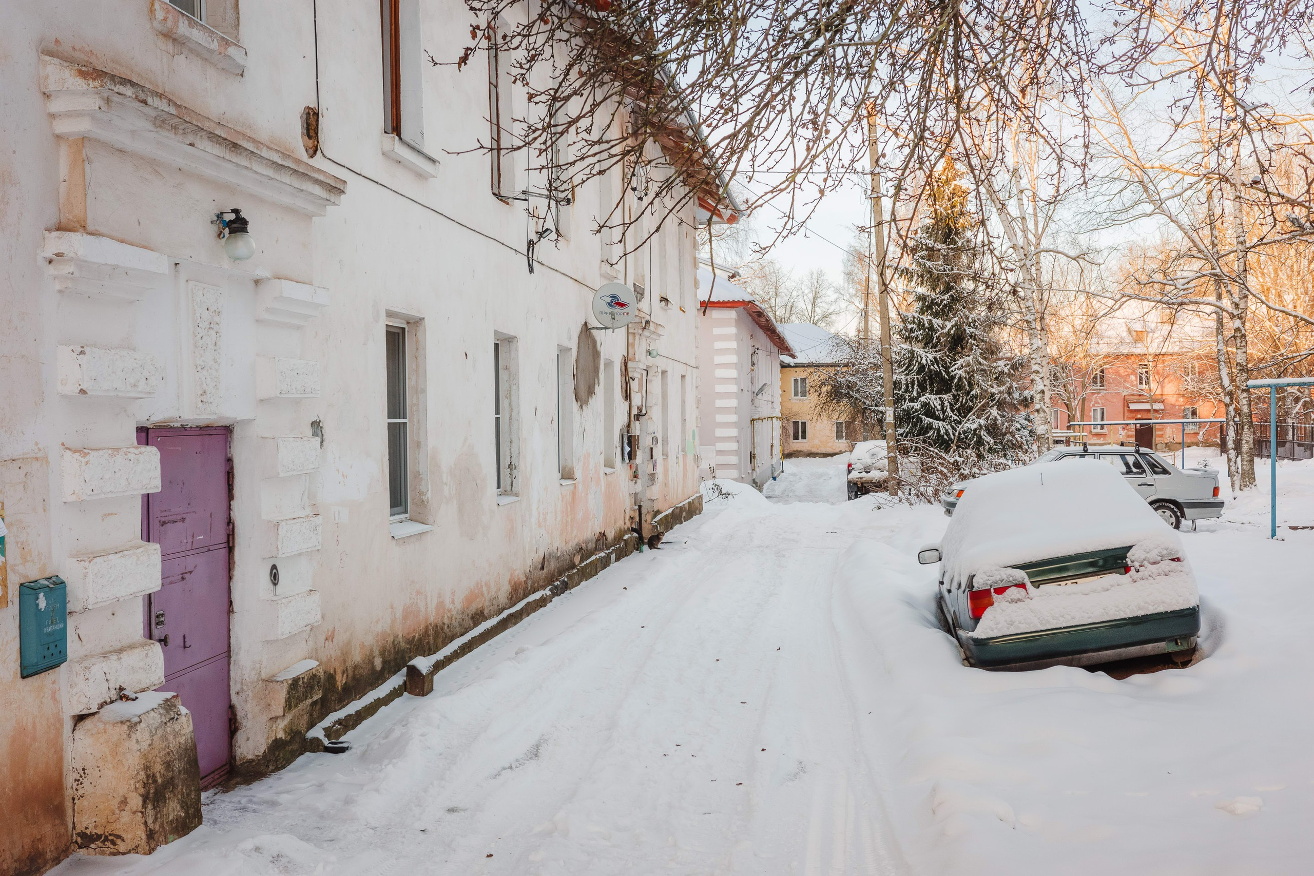 2024.01. Фотограф Алексей Алексеев