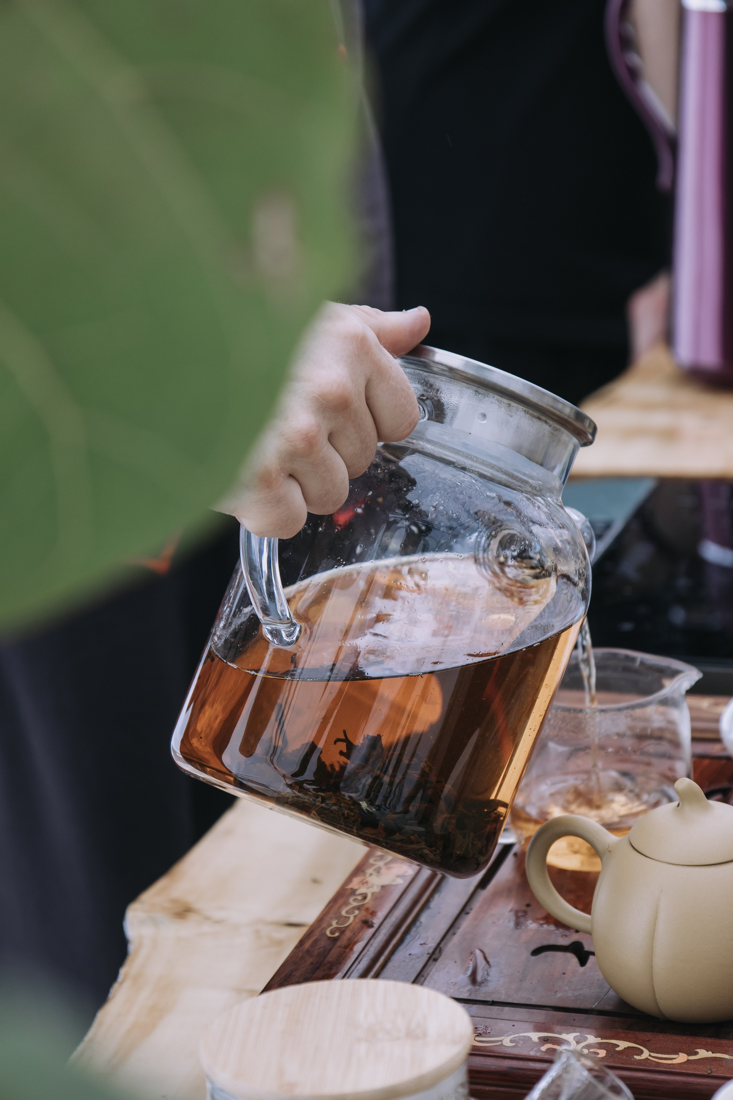 Корпоратив Природа. Репортажный фотограф Анастасия Головко