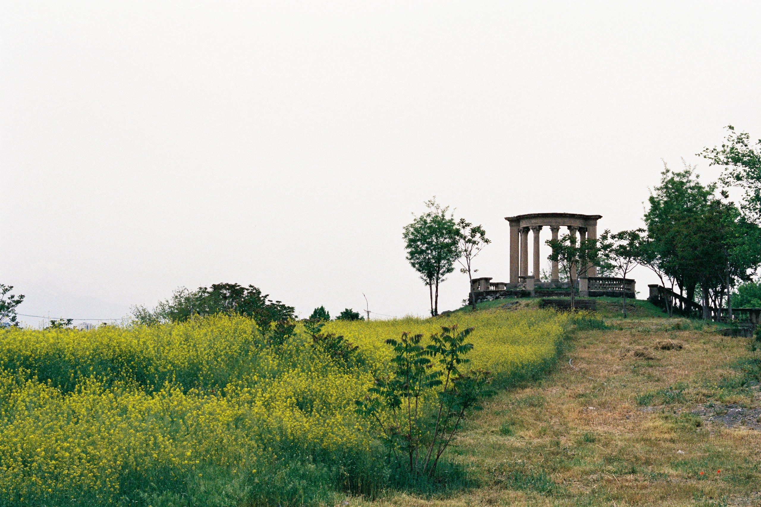 #спецкорНвер