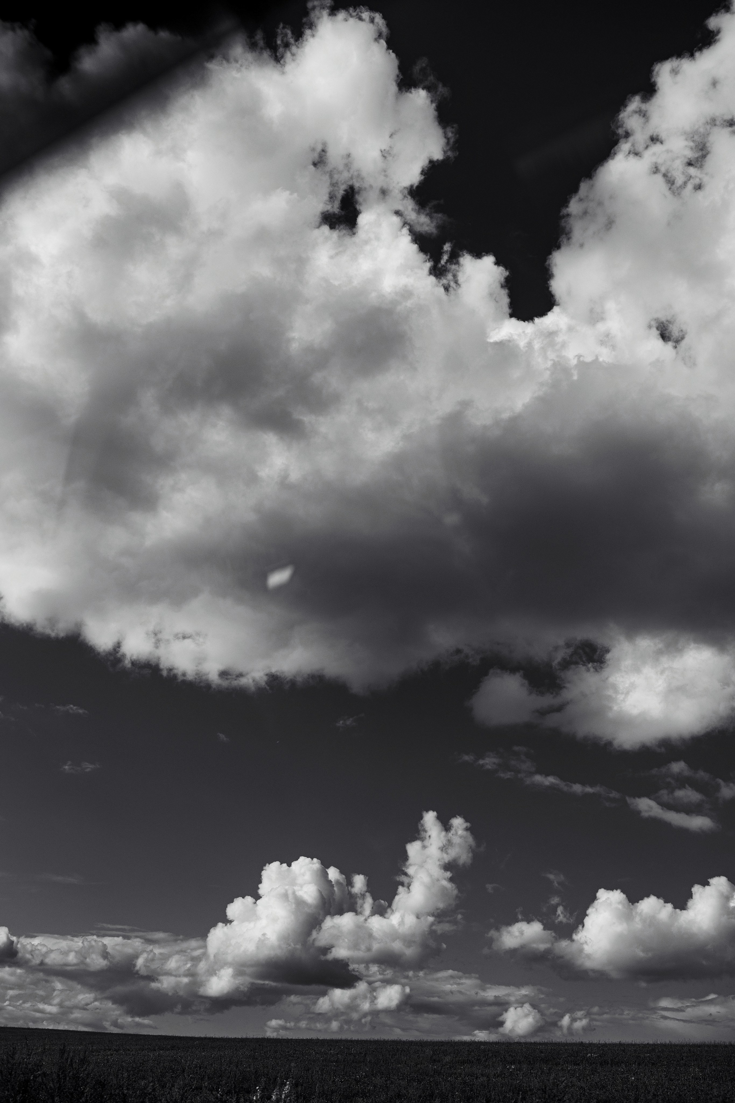 Татьяна и Денис. Фотограф Светлана Голицына