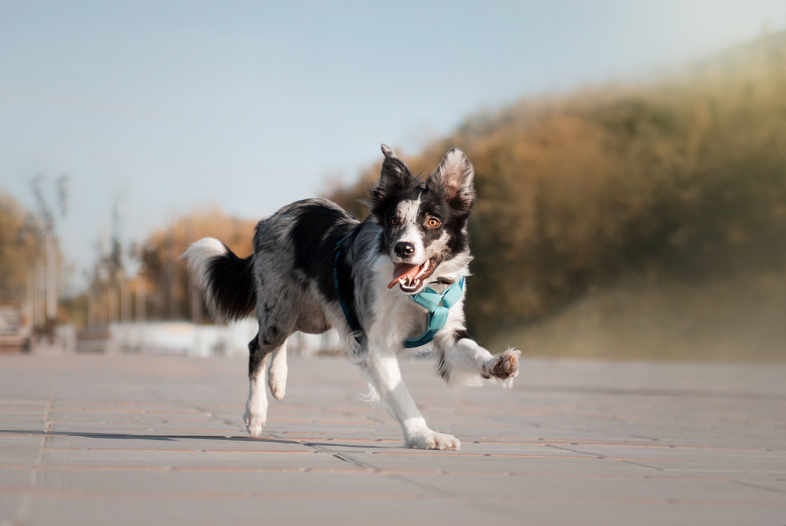 Тэйс. Фотограф в Тюмени Лизавета Сапицкая