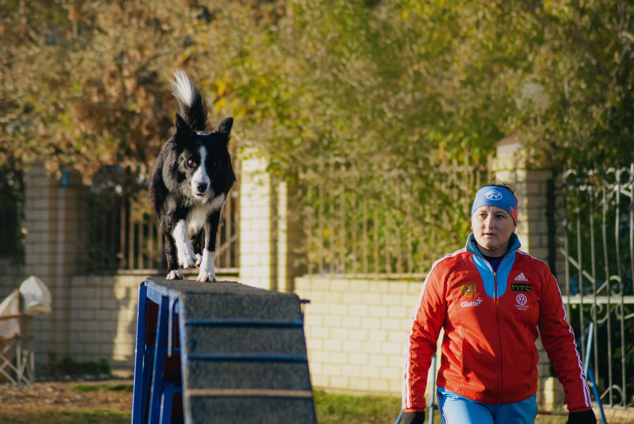 Аджилити. Фотограф в Тюмени Лизавета Сапицкая