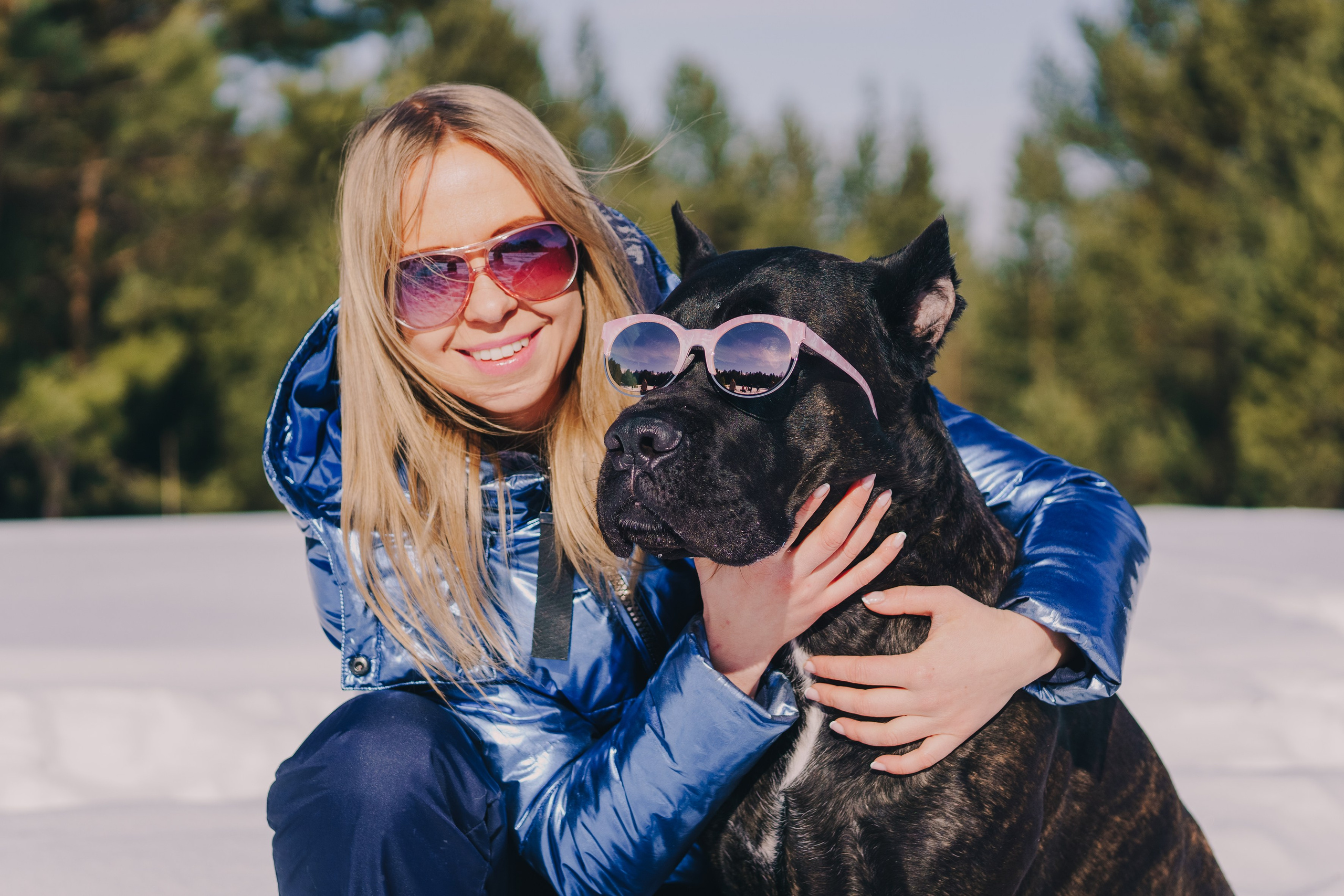 Life with dog. Saamill