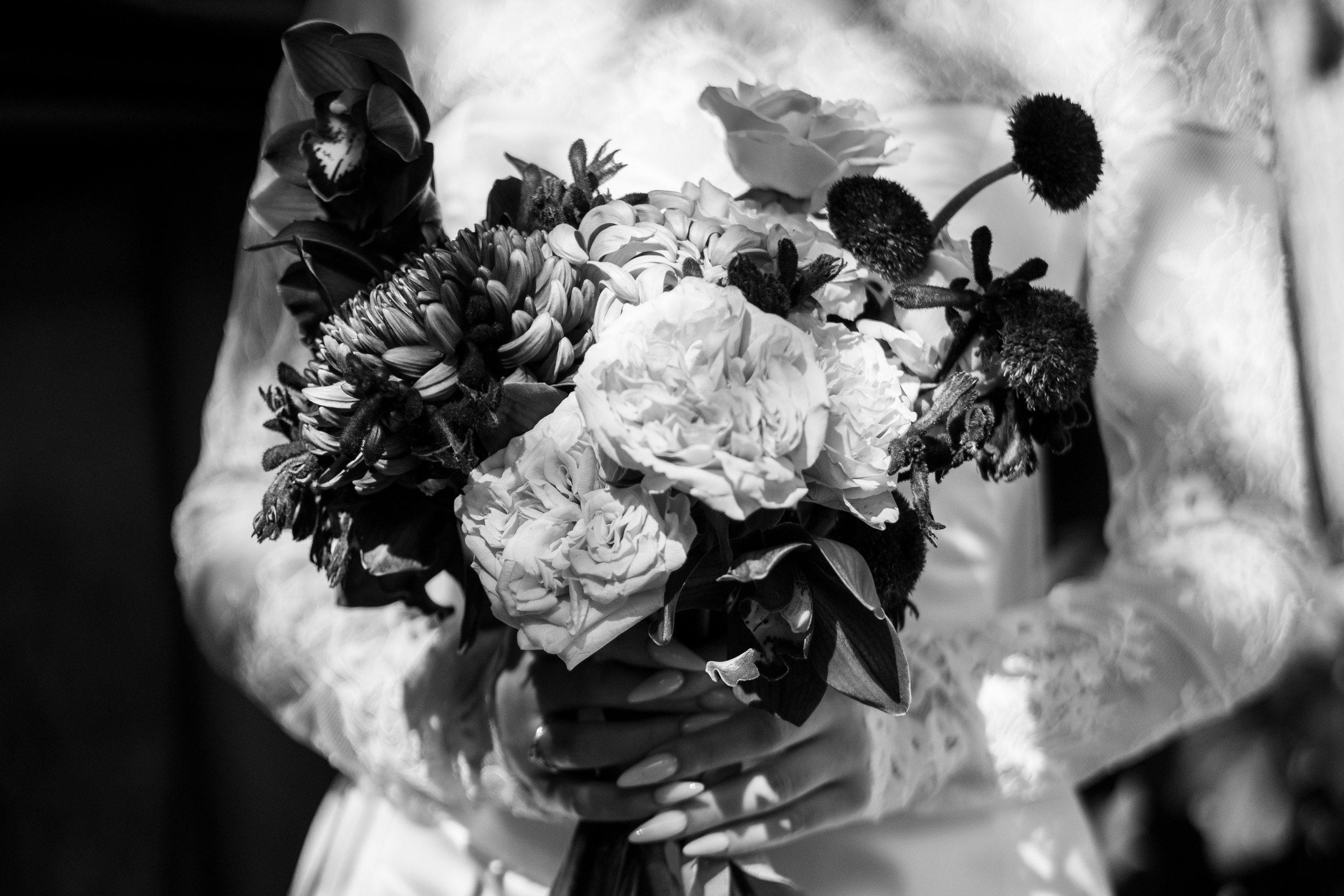 Илья и Александра. Nikolpinhasova