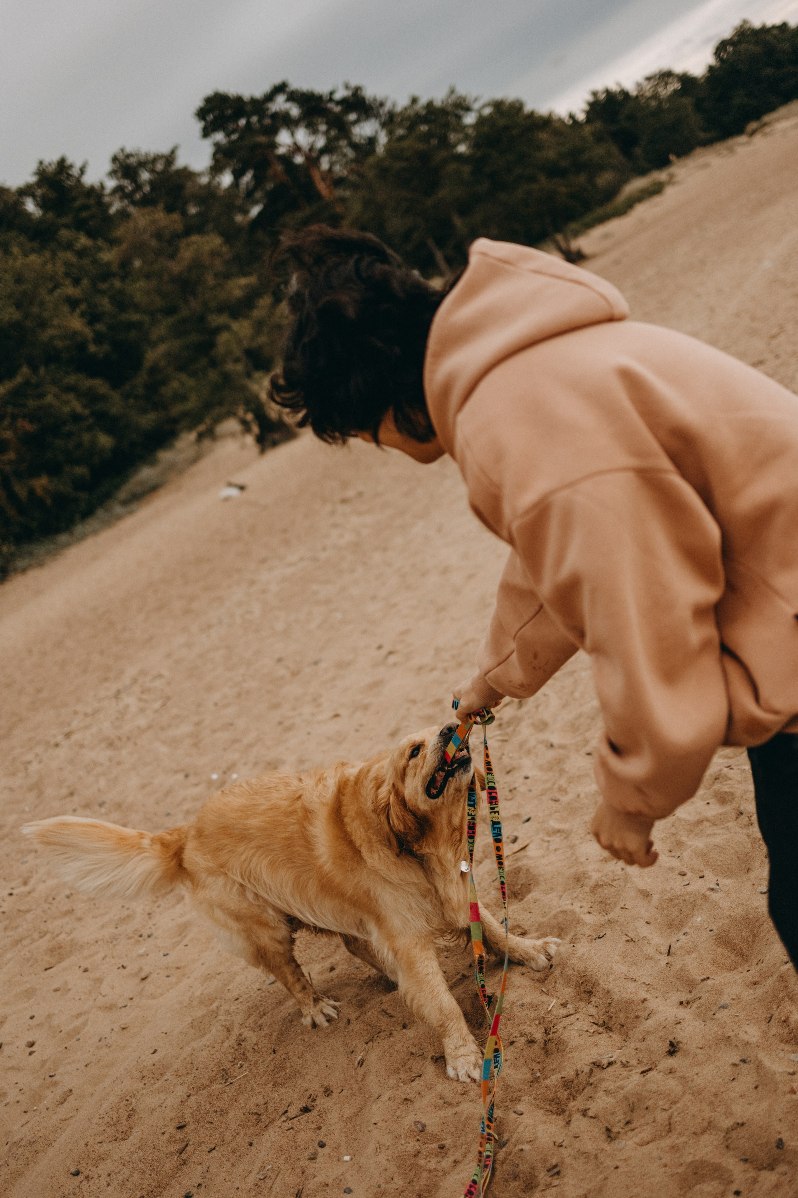 Фоси и его семьи. Фотограф — Анималист | Санкт-Петербург