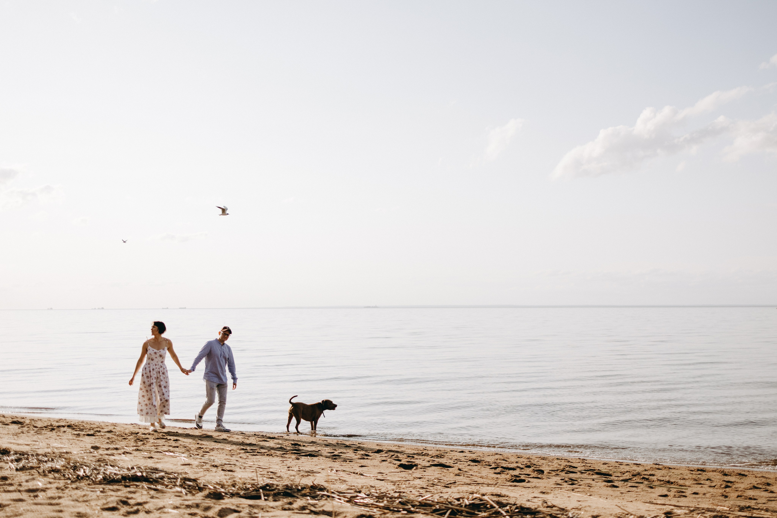 Бонни и ее семья. Фотограф — Анималист | Санкт-Петербург