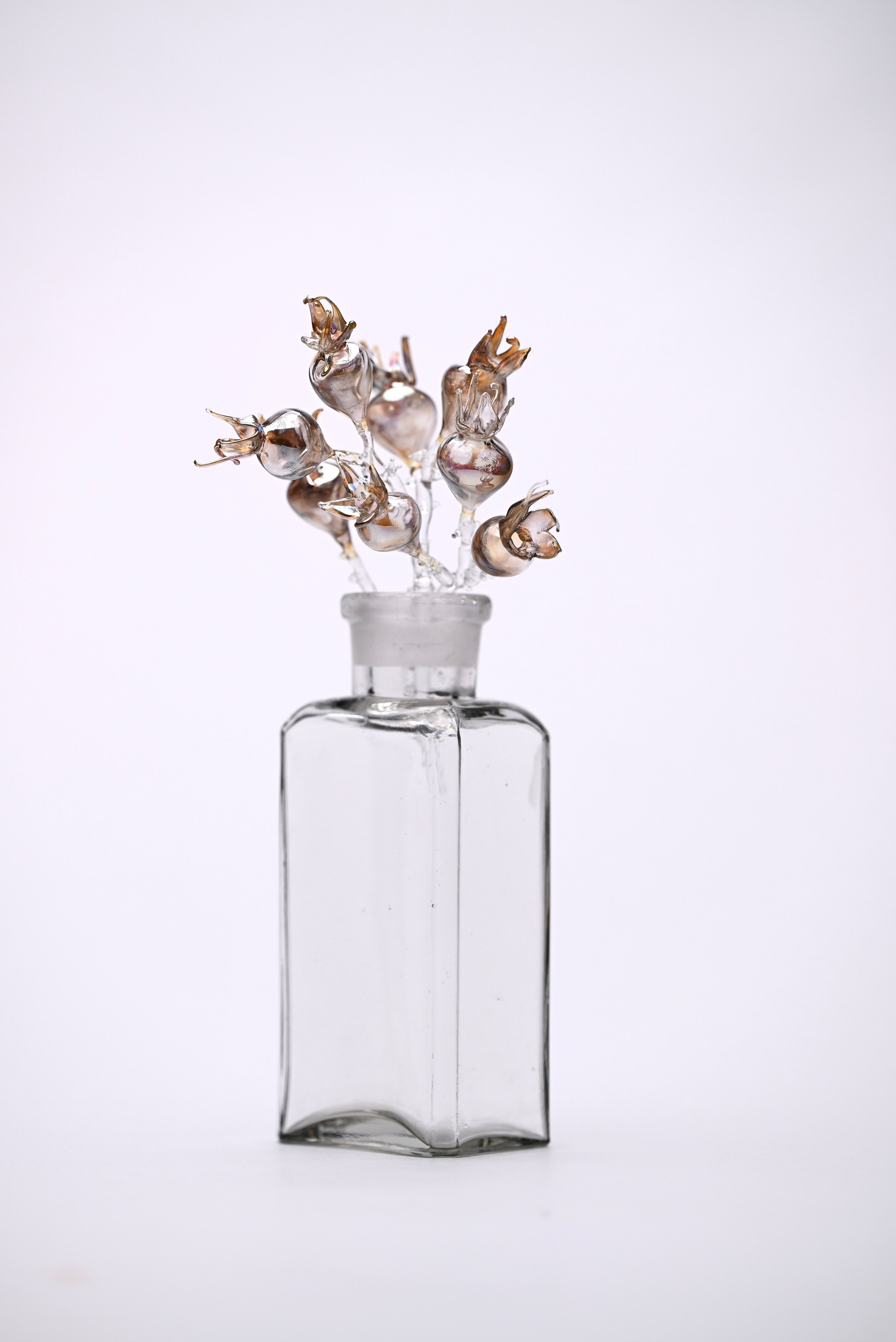 Шиповник. Артур Бахтин