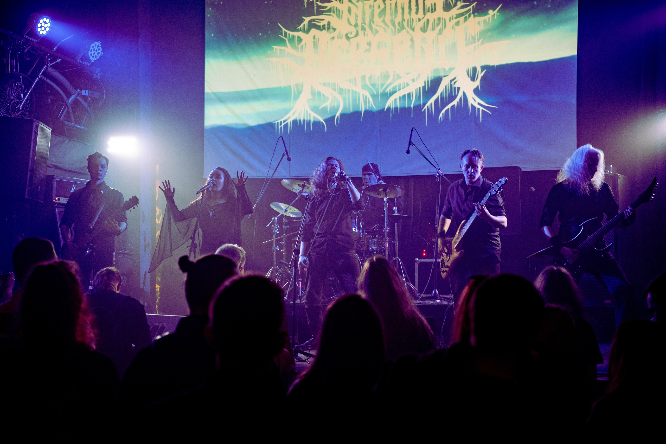 Valhalla | 24.05.25 | Ласточка. Концертный и репортажный фотограф в Санкт-Петербурге Слава Пахомов