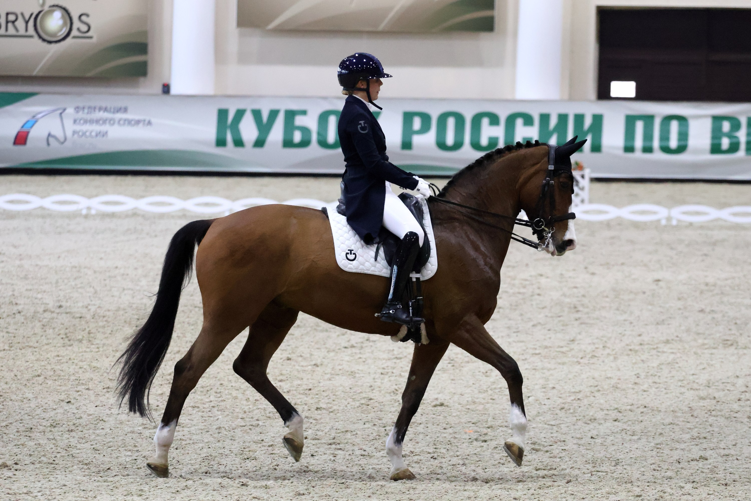 Соревнования по выездке КСК «Виват, Россия!». Спортивный и репортажный фотограф Ермакова Светлана