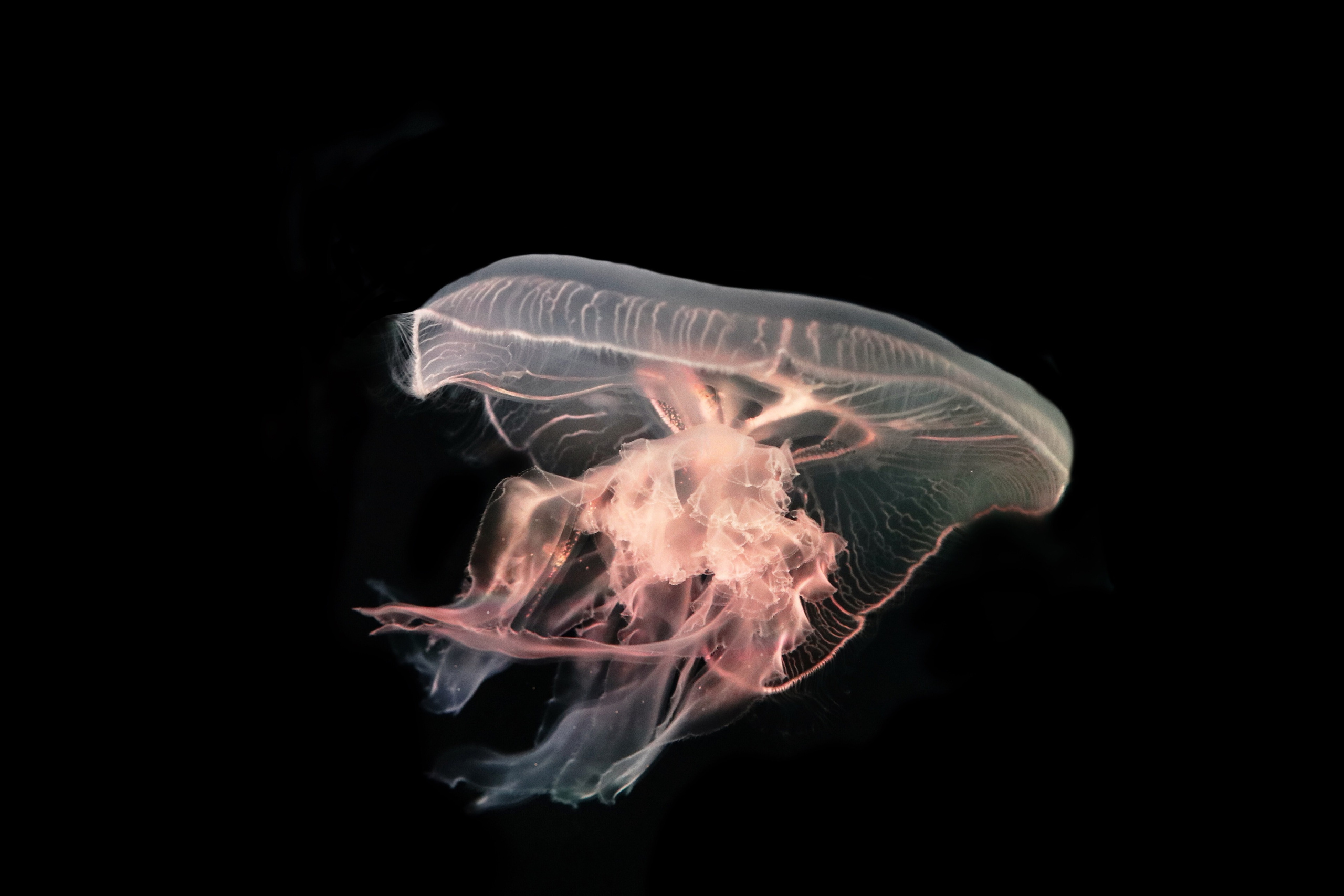 Зарисовки натуралиста. Фотограф Ольга Филимонова