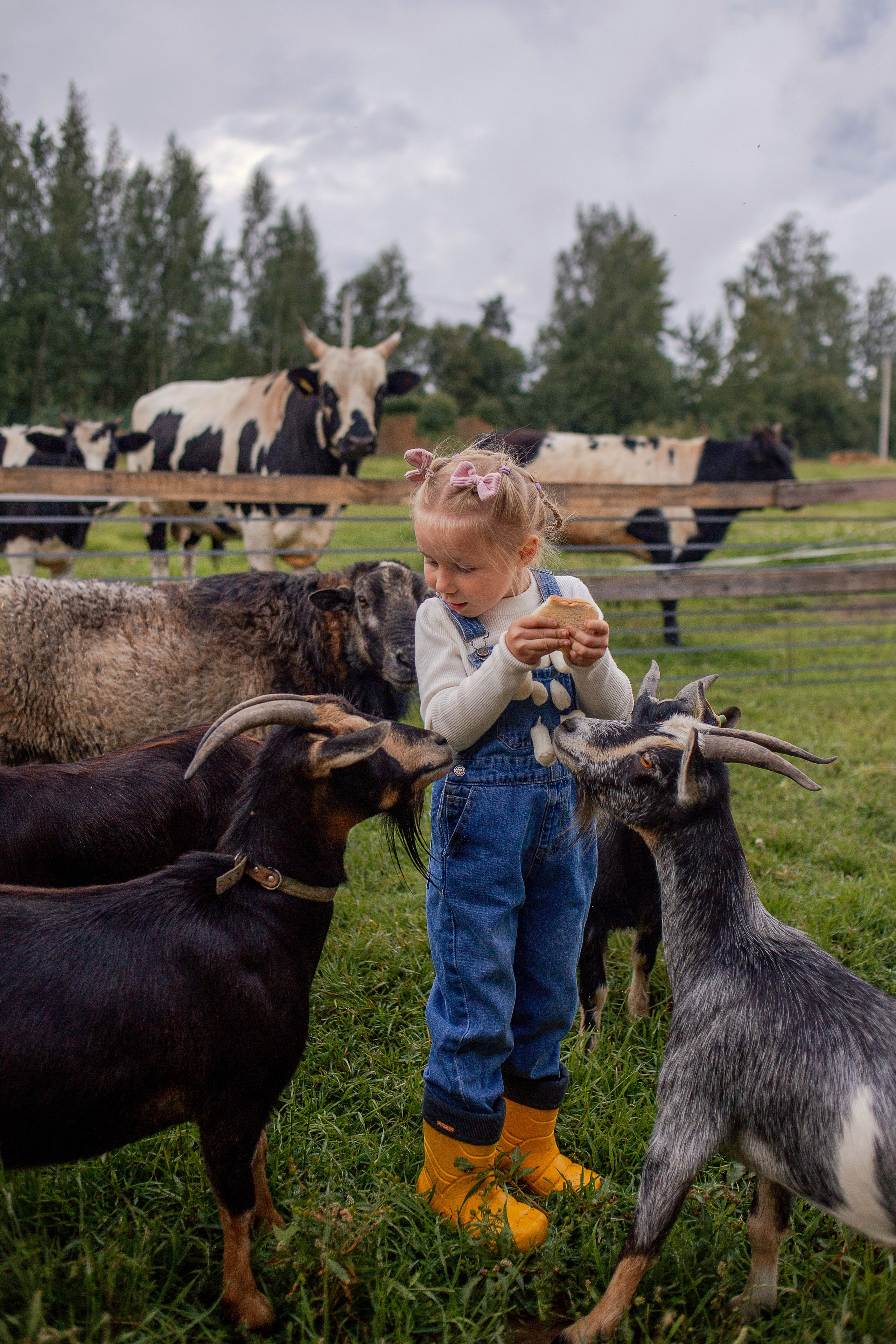 Детская фотосессия на ферме в СПб