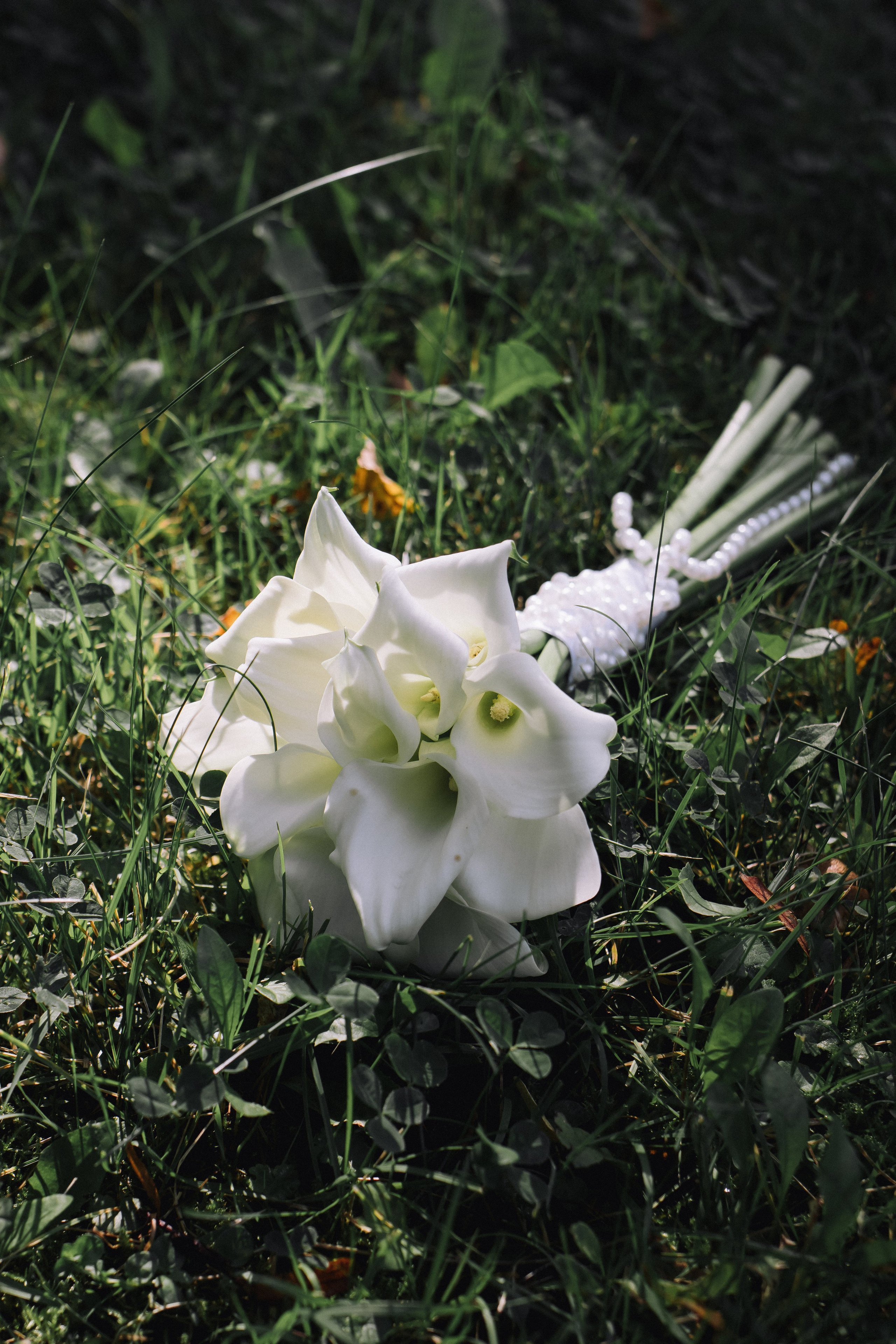 Свадебные серии