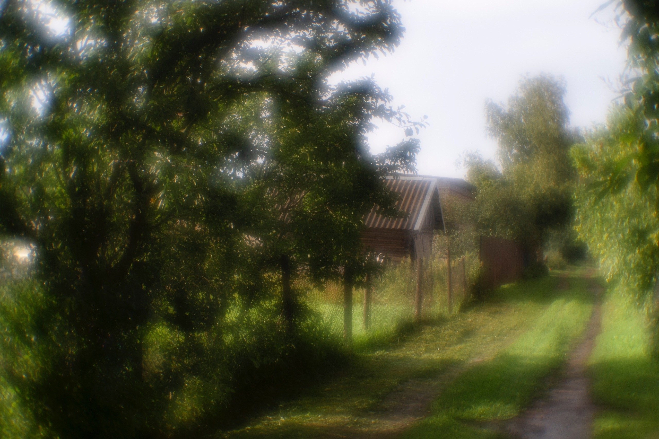 Цветные фотографии. Фотографии Лены Соколовой