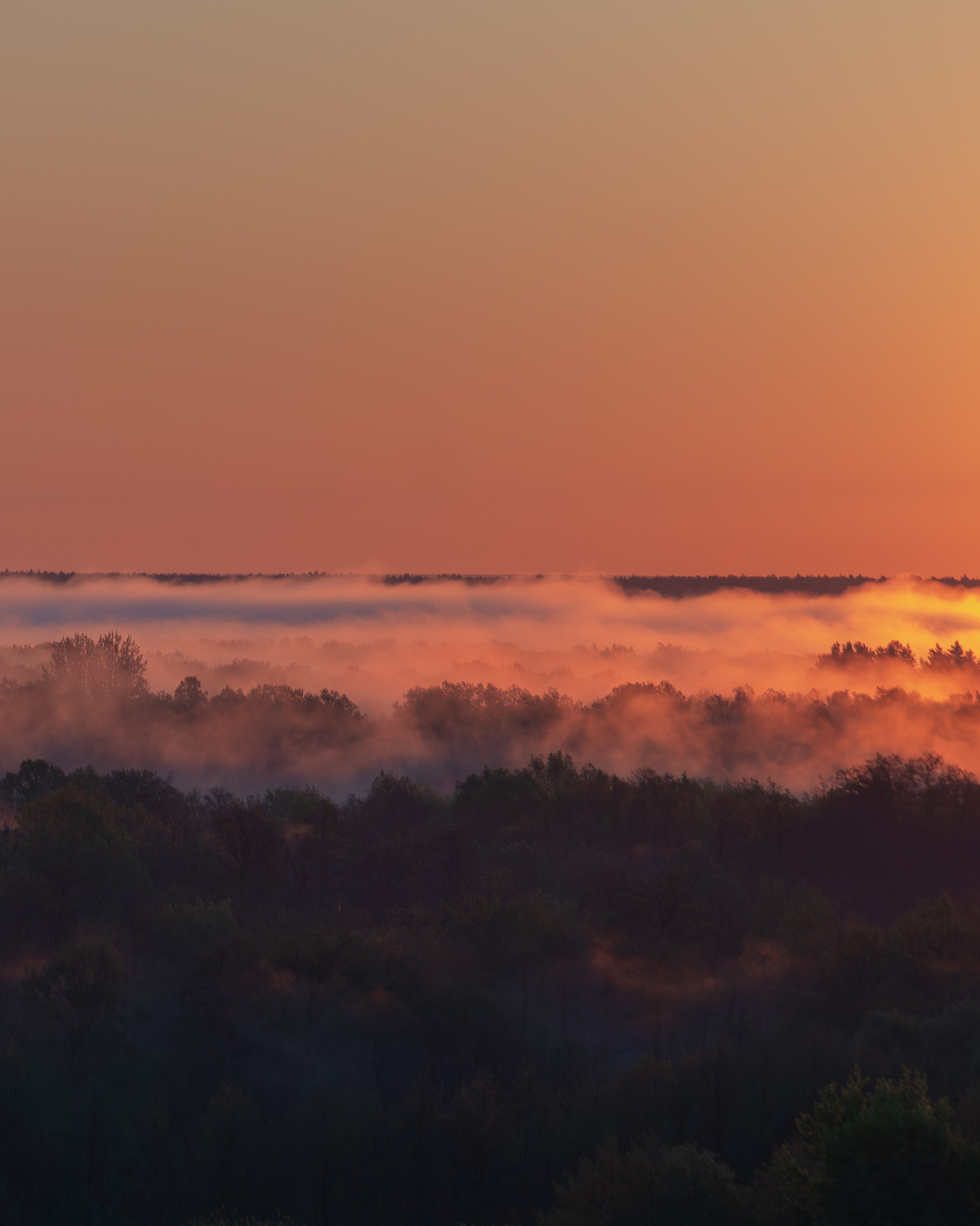 Стоимость. Фотограф Сергей Капитуров