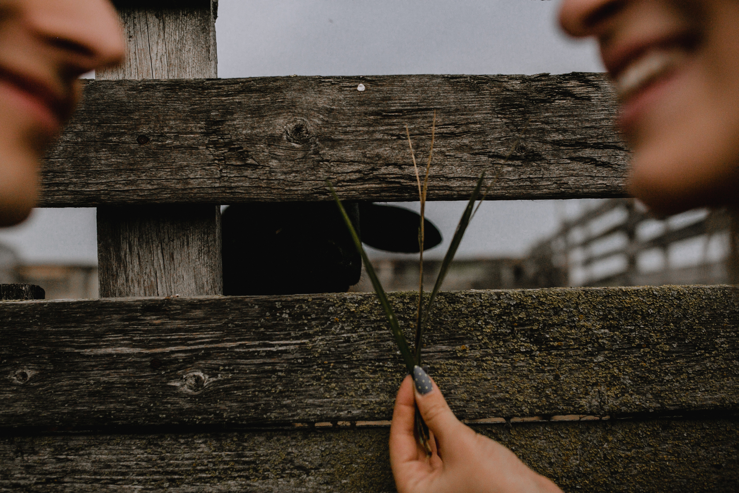 Предсвадебное Love story Алексея&Виктории. Свадебный /Семейный фотограф в Краснодарском крае Лилия Комар