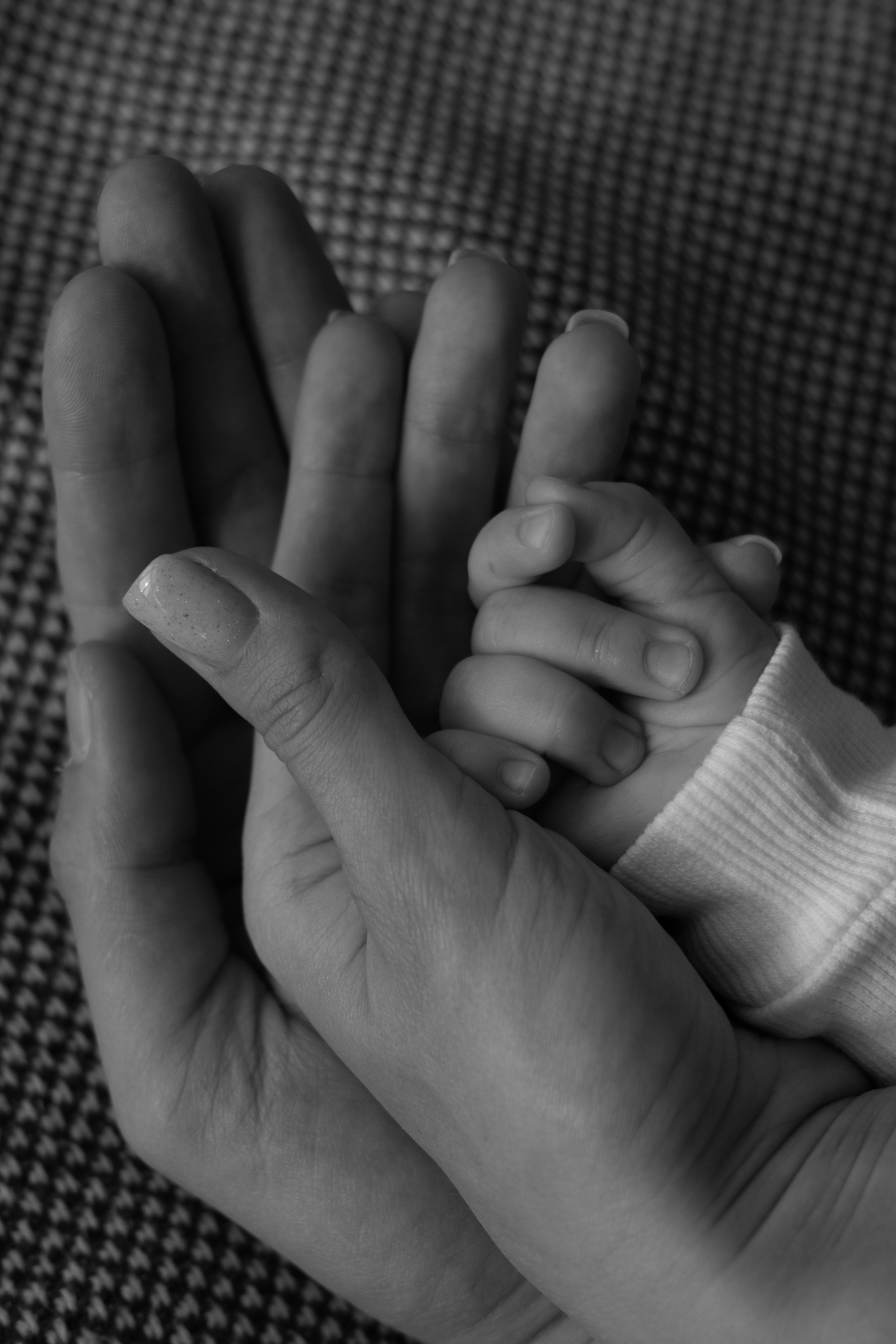 Студийная семейная фотосессия. Фотограф видеограф Ольга Василевская