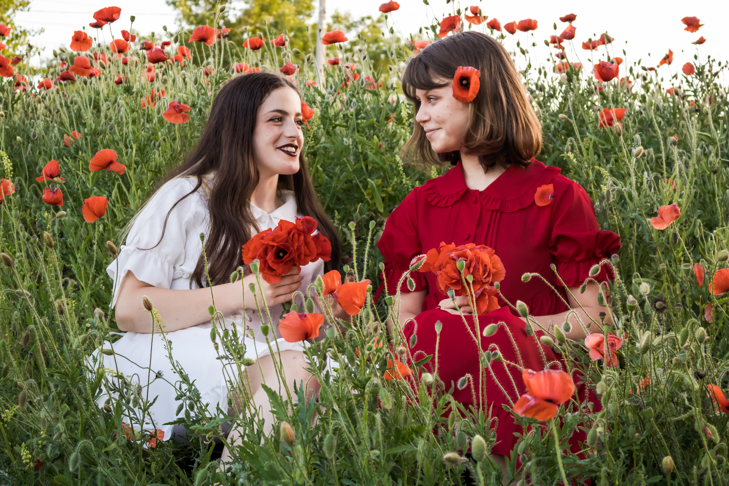 Маки. Фотограф детский и семейный Роза Юрченко в Геленджике, Краснодаре
