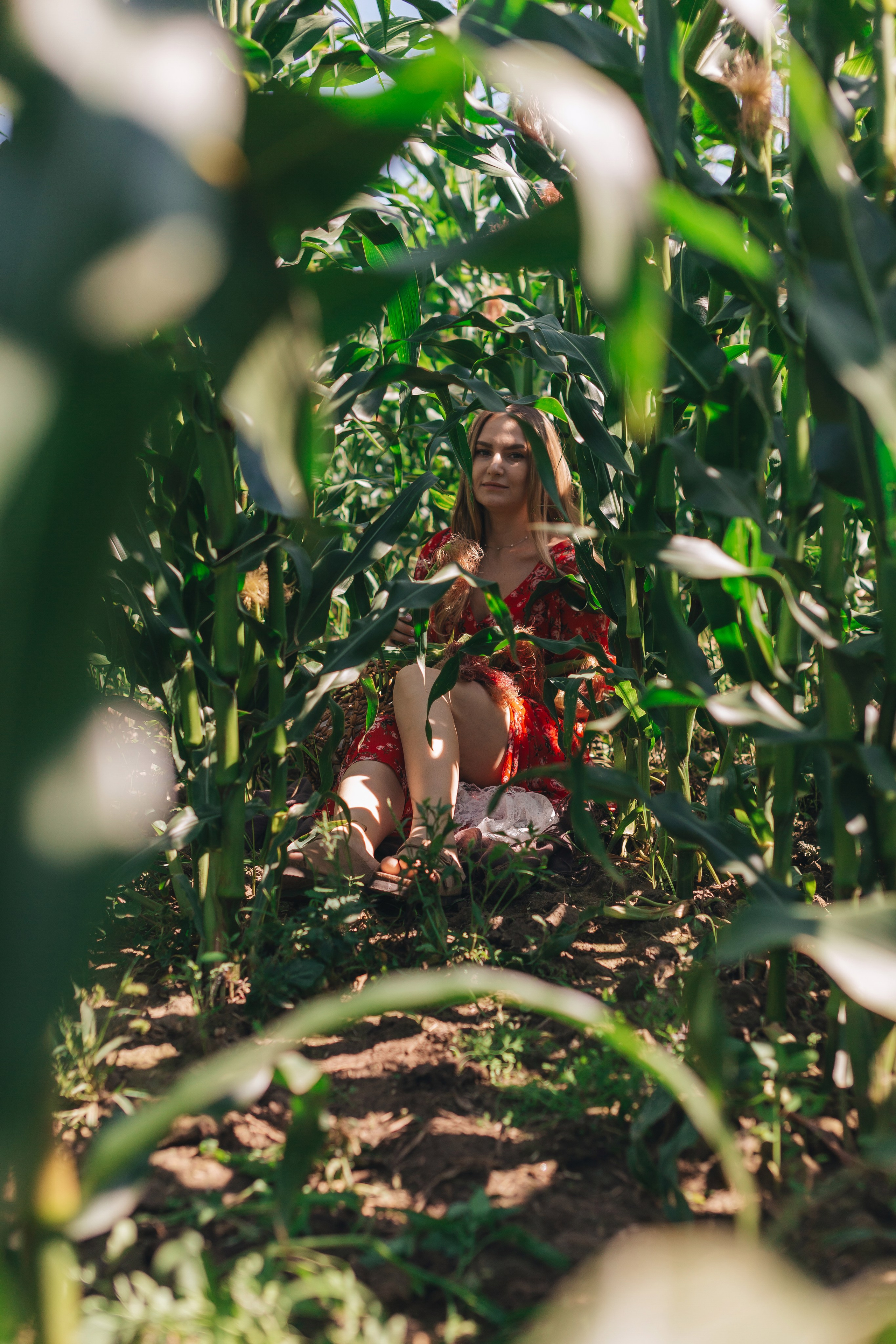 Кукуруза. Семейный и художественный фотограф в Тюмени Юлия Логинова
